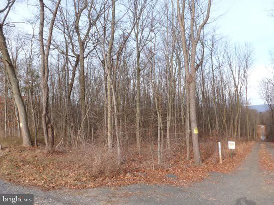 Bring your spring building plans and nestle your dream home on this desirable 2.54 acre wooded lot. Offers 290' of macadam SR2020 road frontage. The gem of this lot is the STANDARD septic system perk test it offers the savvy buyer. Don't miss out!! Call today!,No Doublewides,No Singlewides