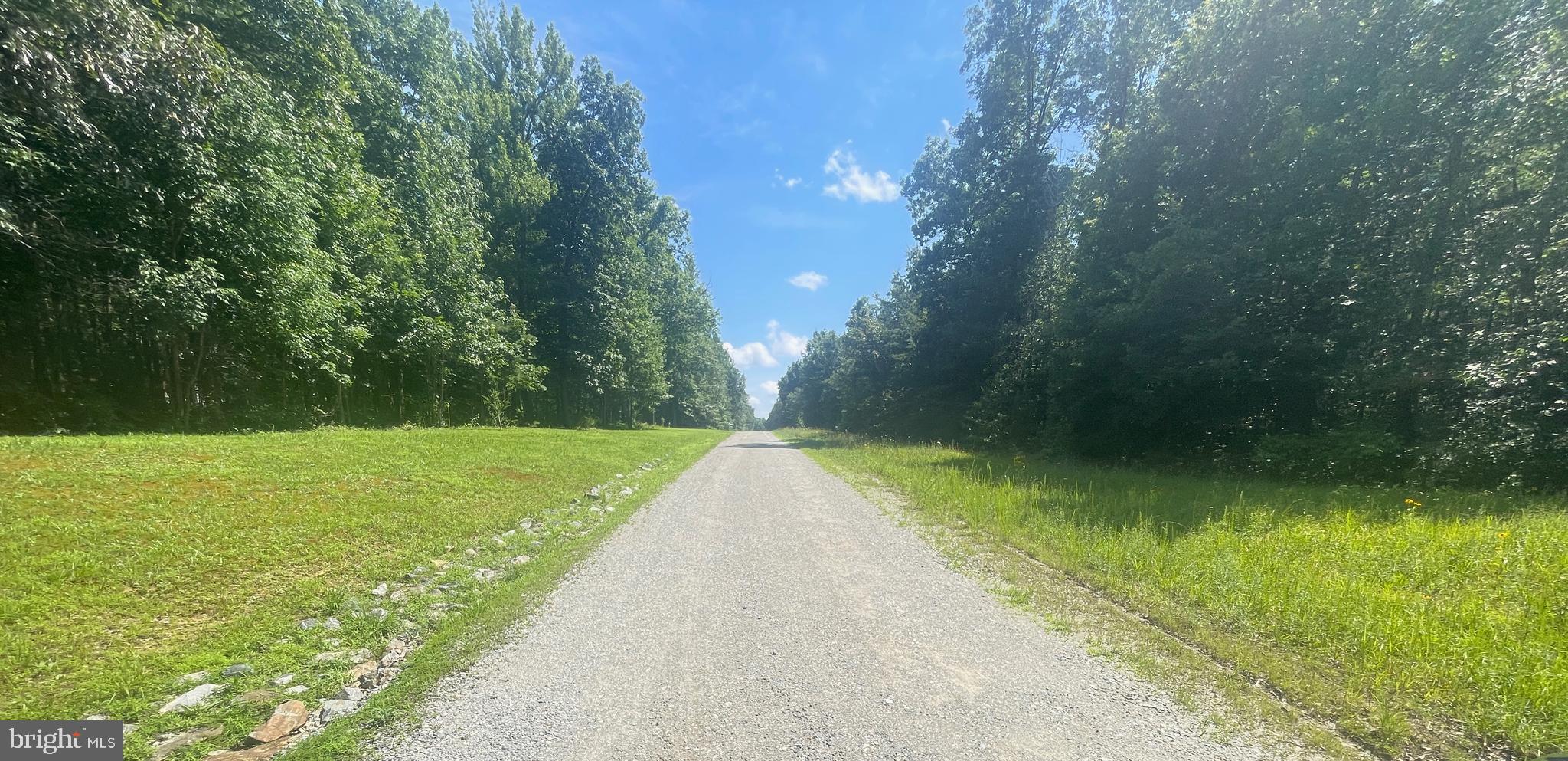 Lot 1 - WARDS FOREST AVENUE