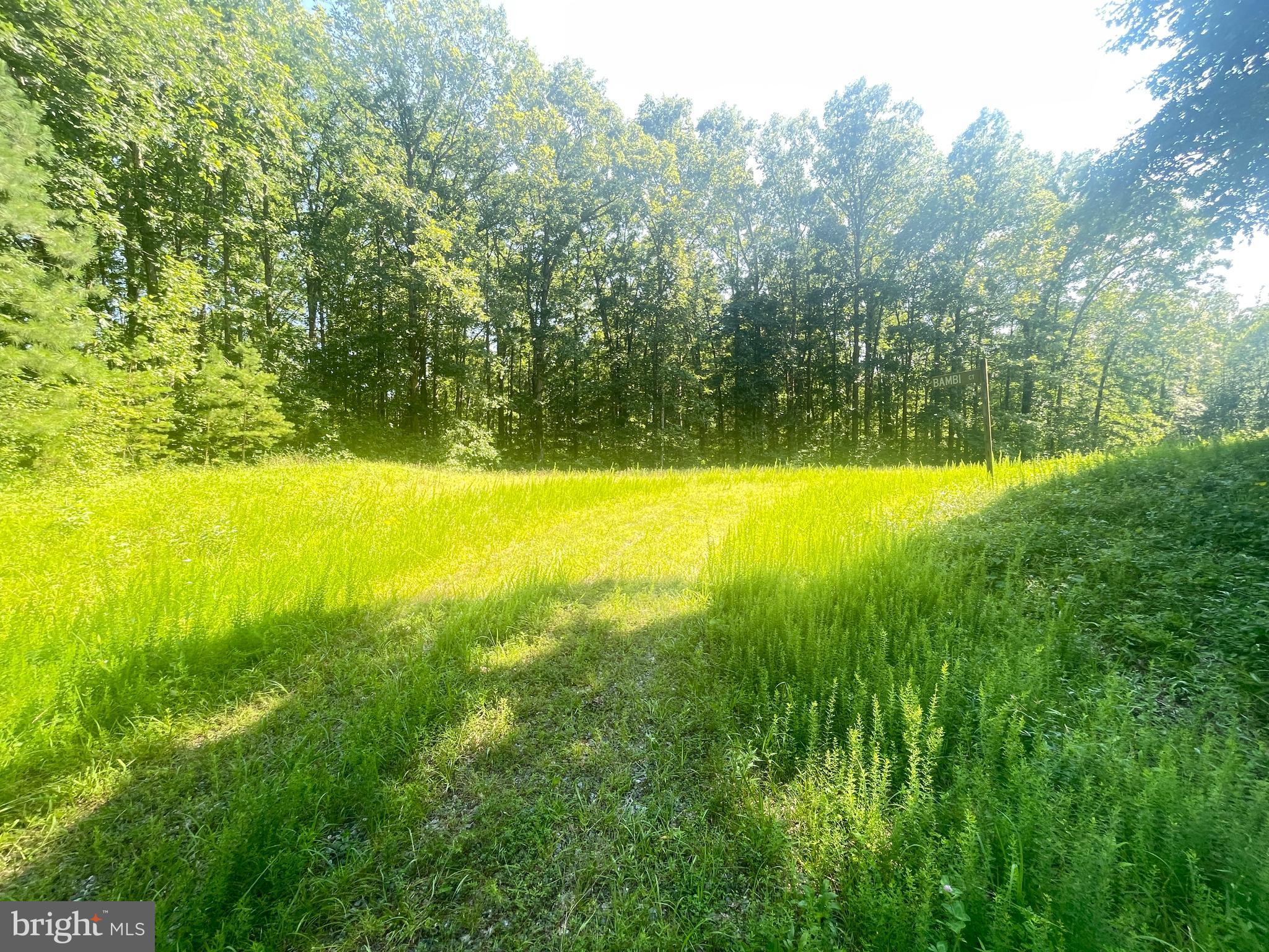 Lot 1 - WARDS FOREST AVENUE