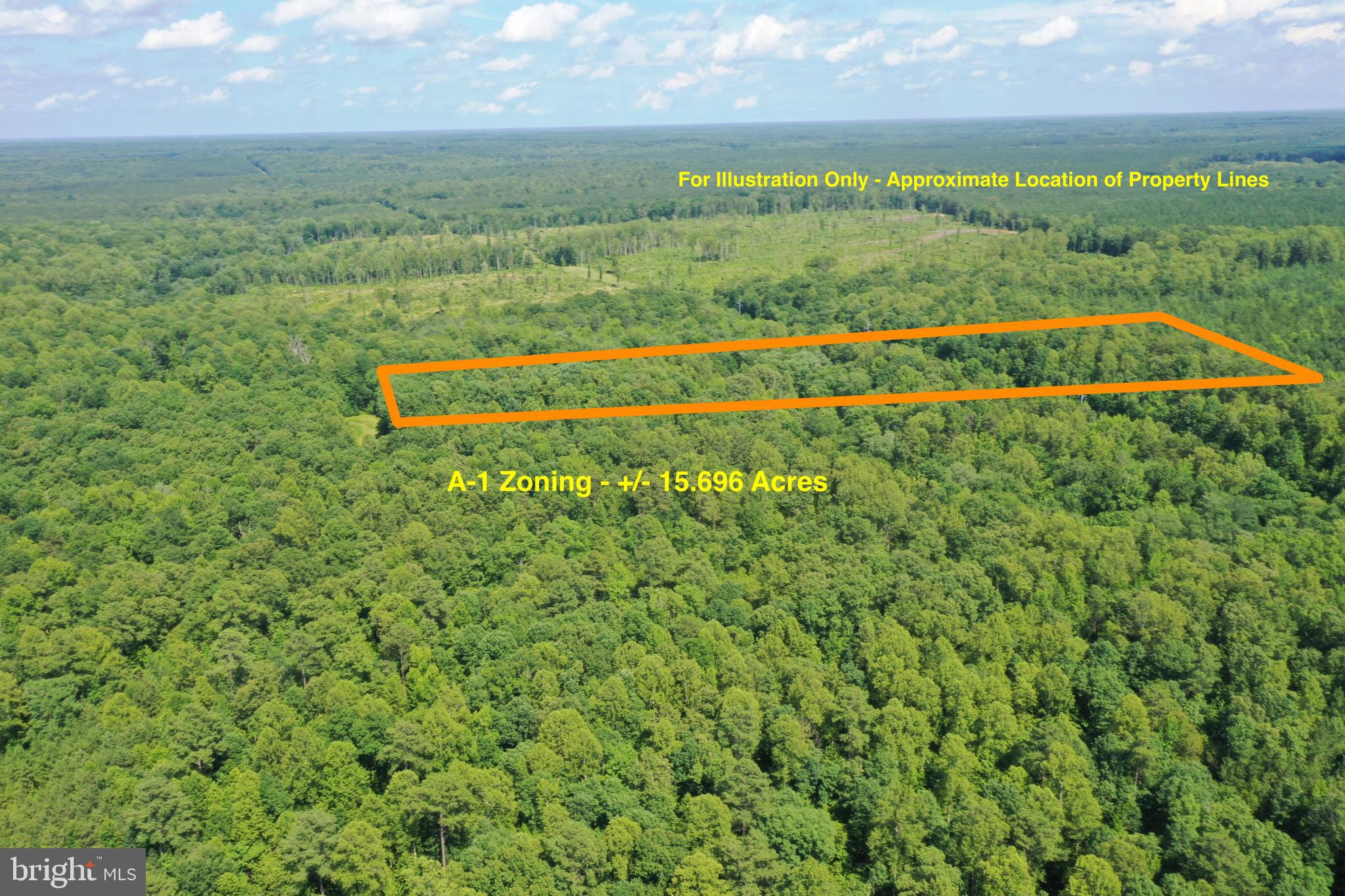 Lot 1 - WARDS FOREST AVENUE
