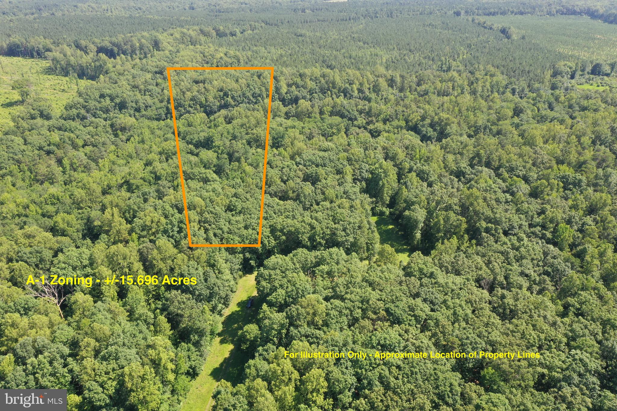 Lot 1 - WARDS FOREST AVENUE