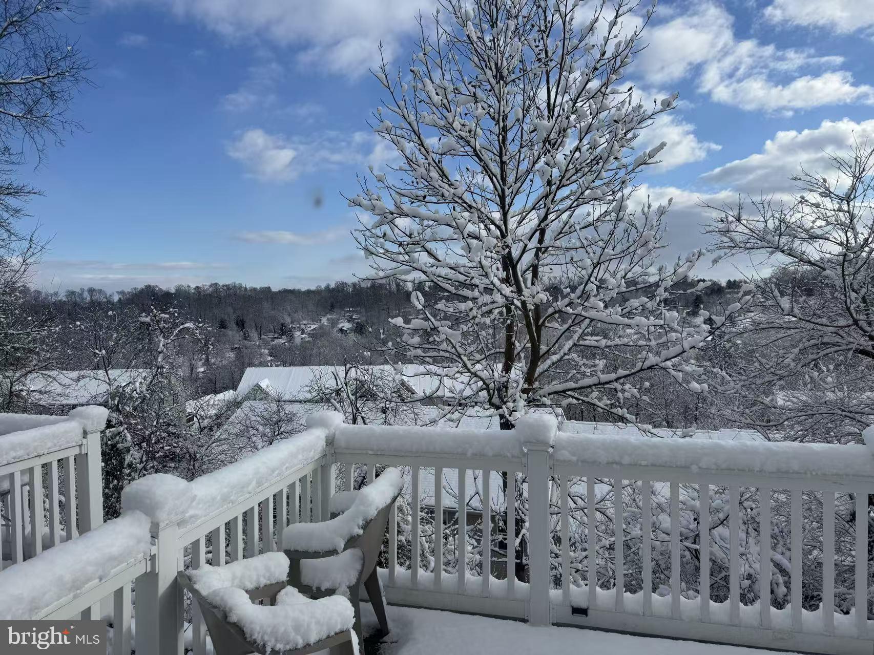 STEEPLE CHASE - Residential Lease