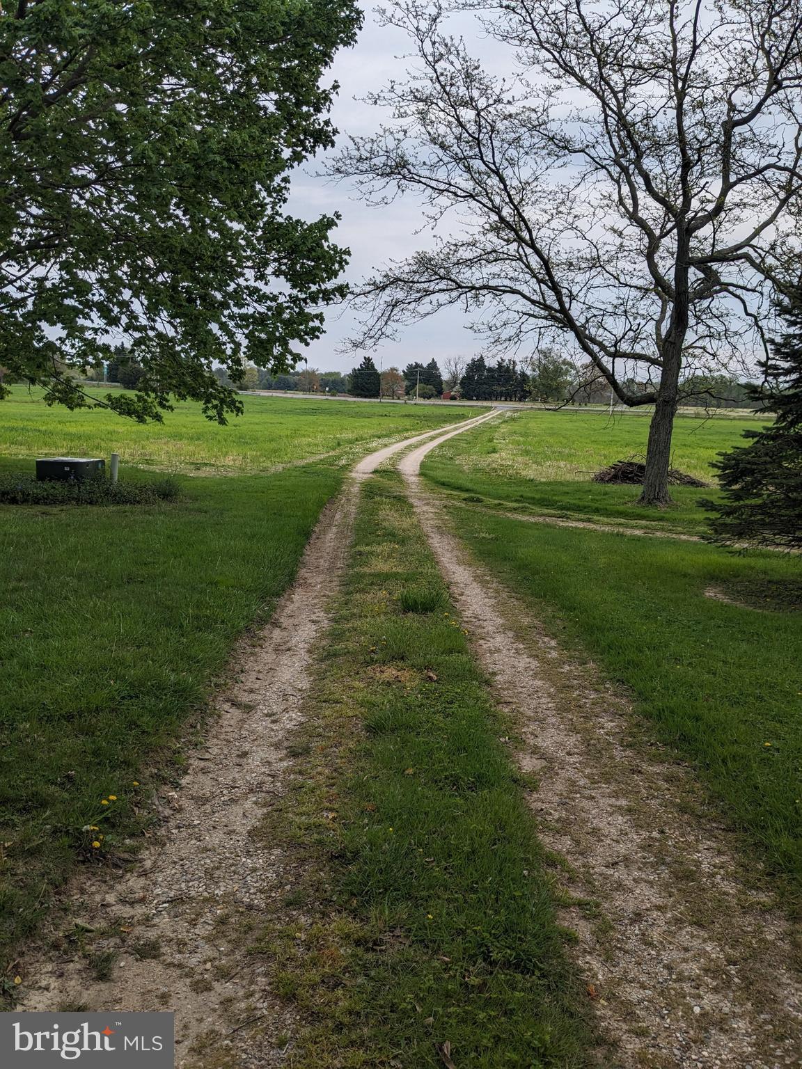 CENTREVILLE - Commercial Sale