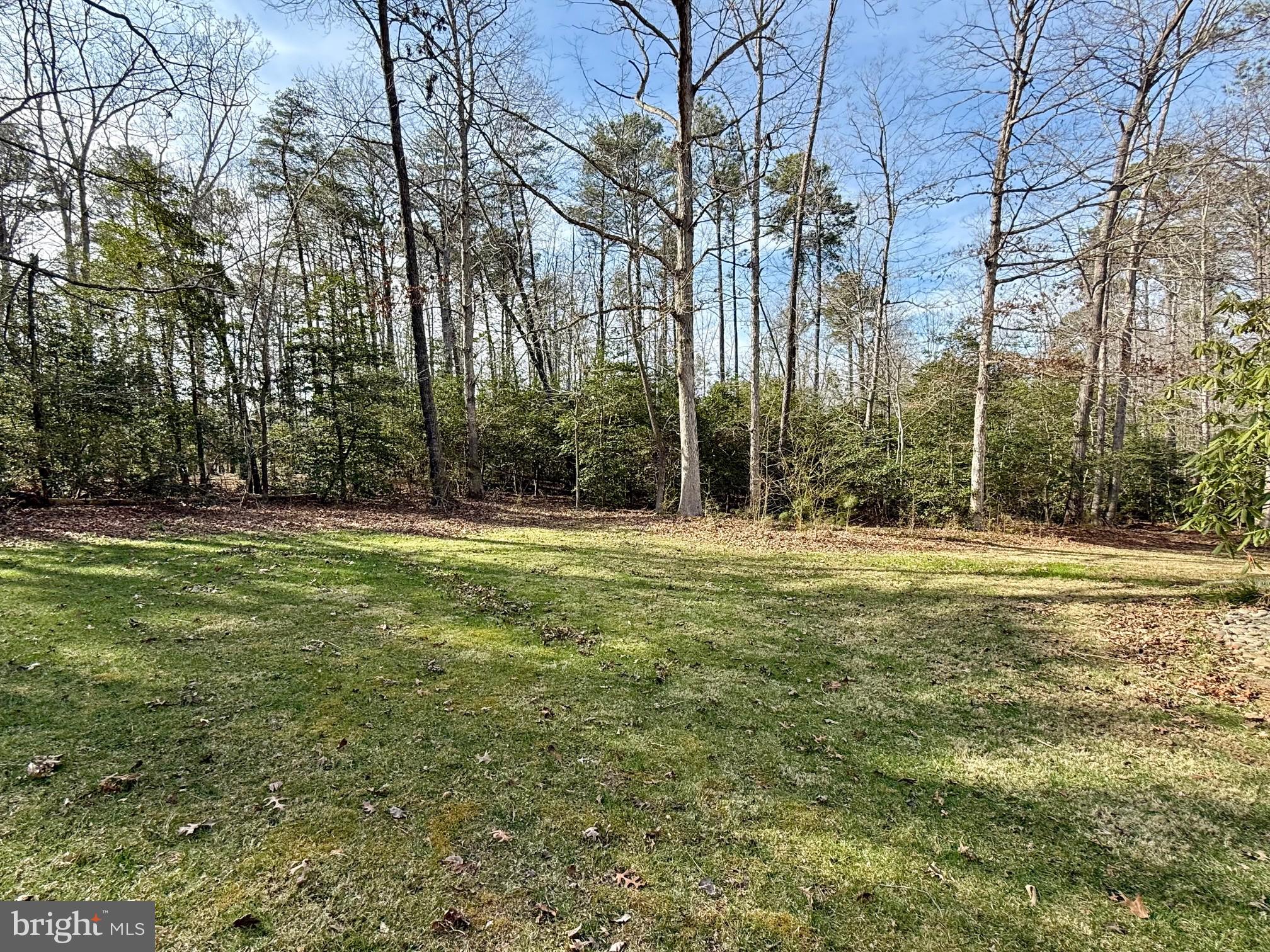 CHESTNUT RIDGE - Residential