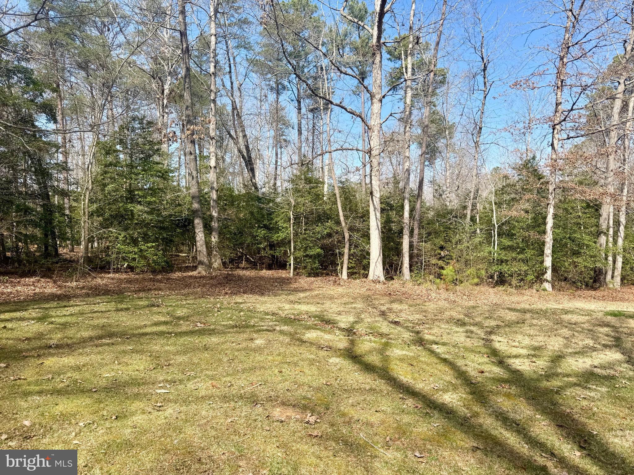 CHESTNUT RIDGE - Residential