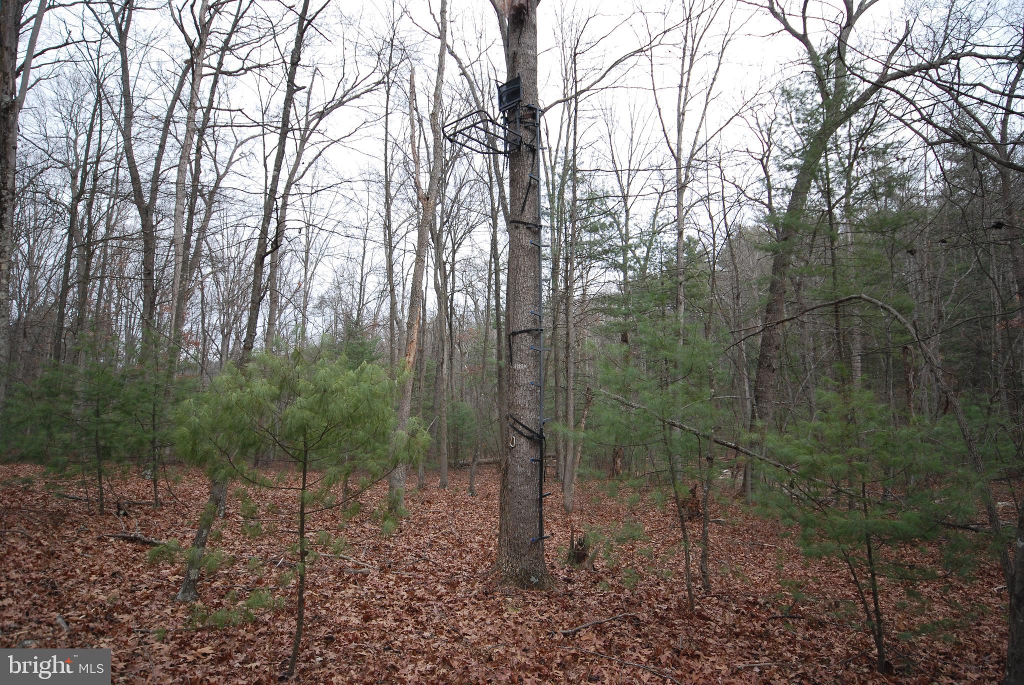 STAGECOACH STOP @ CAPON BRIDGE - Land