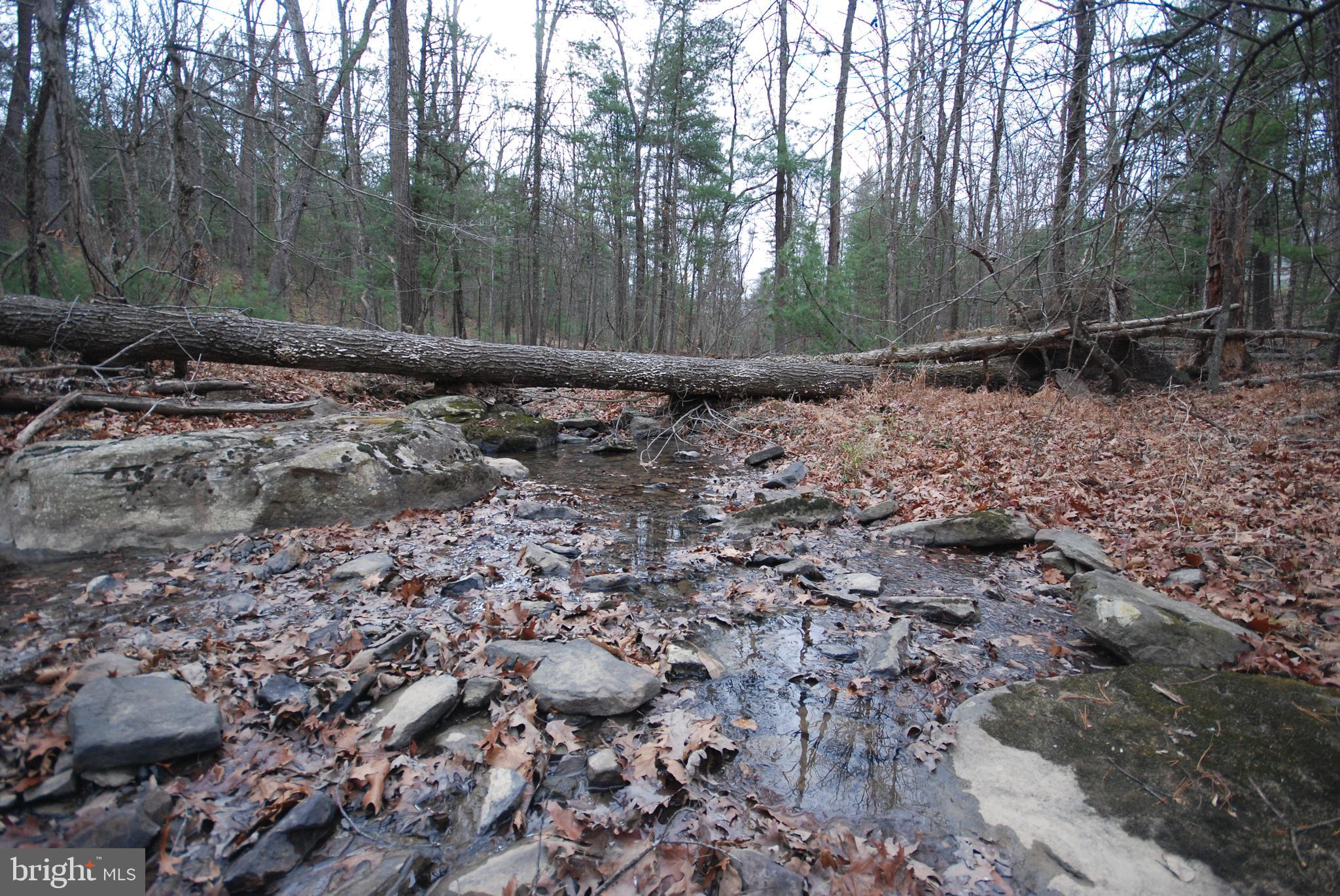 STAGECOACH STOP @ CAPON BRIDGE - Land