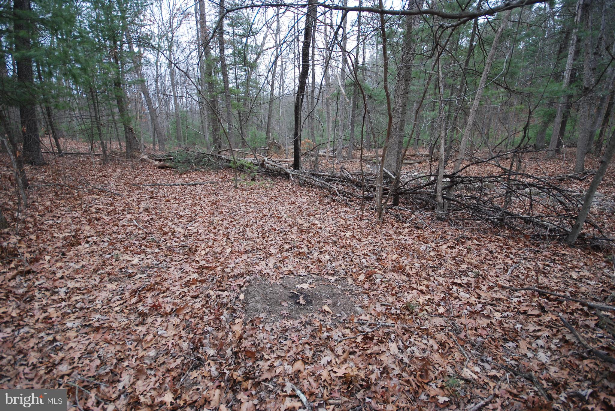 STAGECOACH STOP @ CAPON BRIDGE - Land