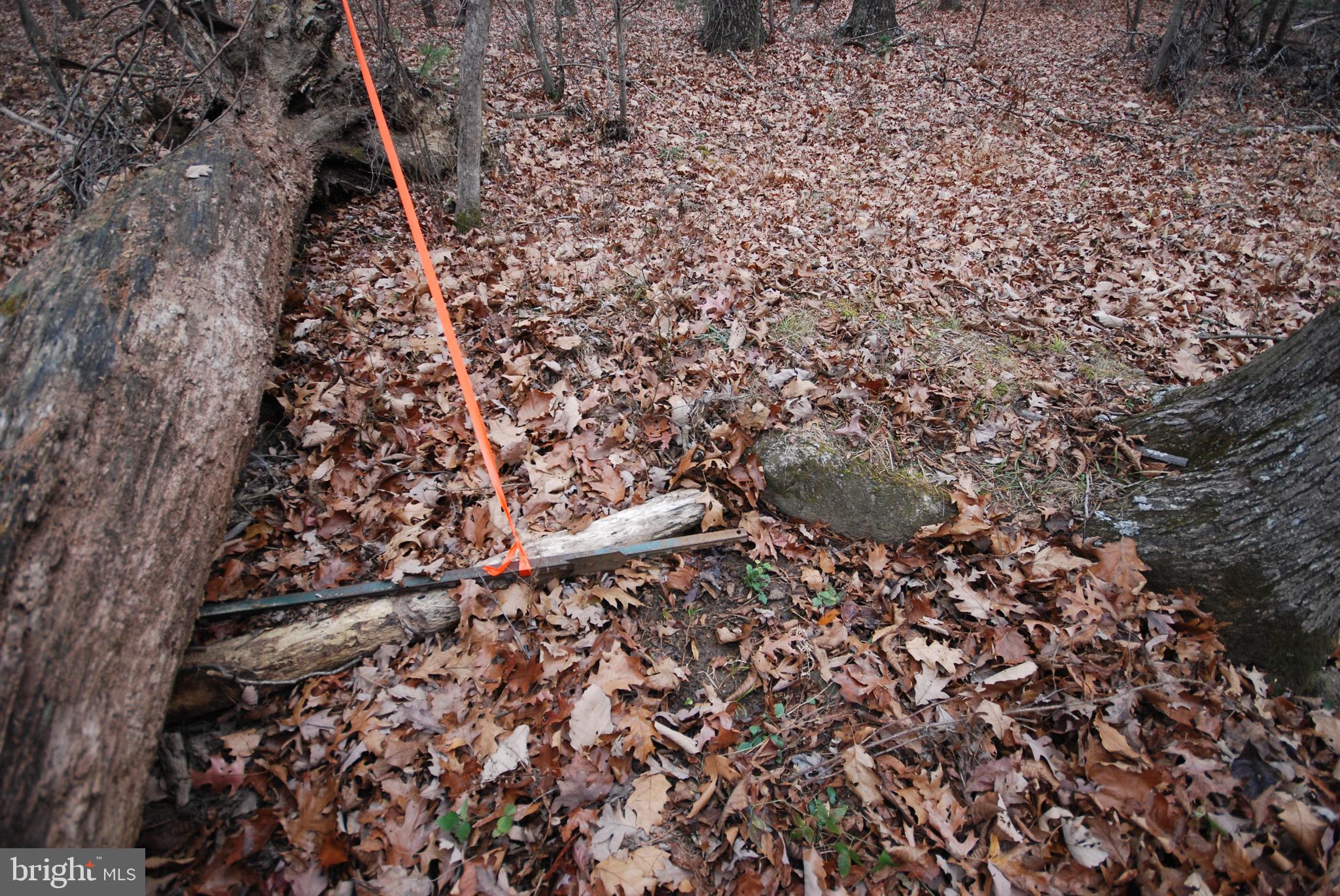 STAGECOACH STOP @ CAPON BRIDGE - Land