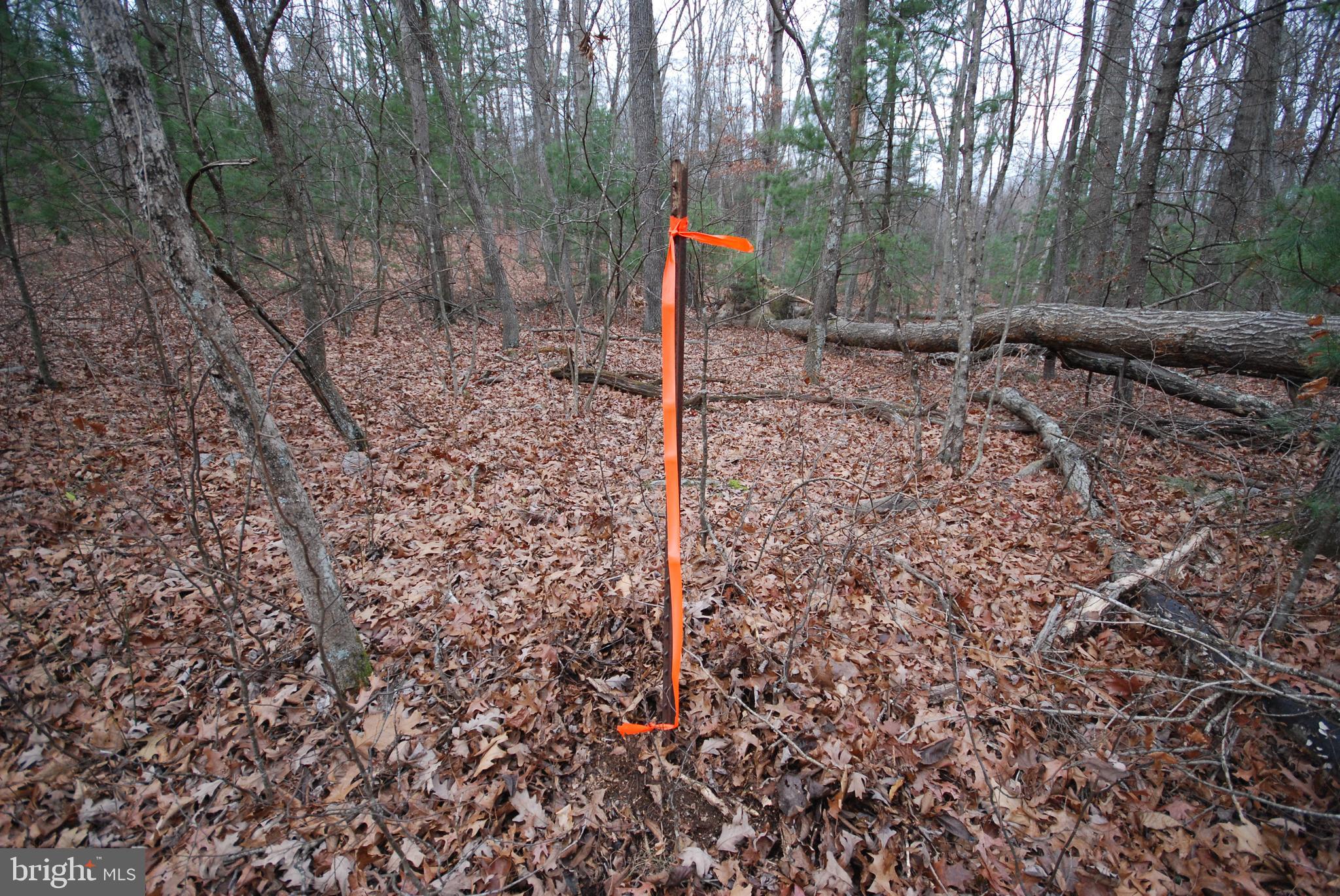 STAGECOACH STOP @ CAPON BRIDGE - Land