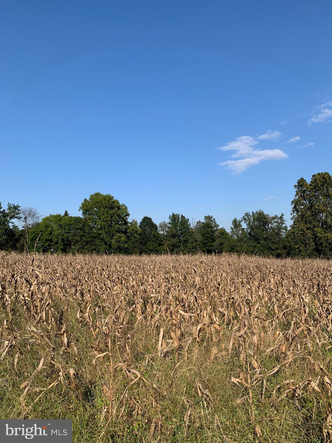 NONE AVAILABLE - Land