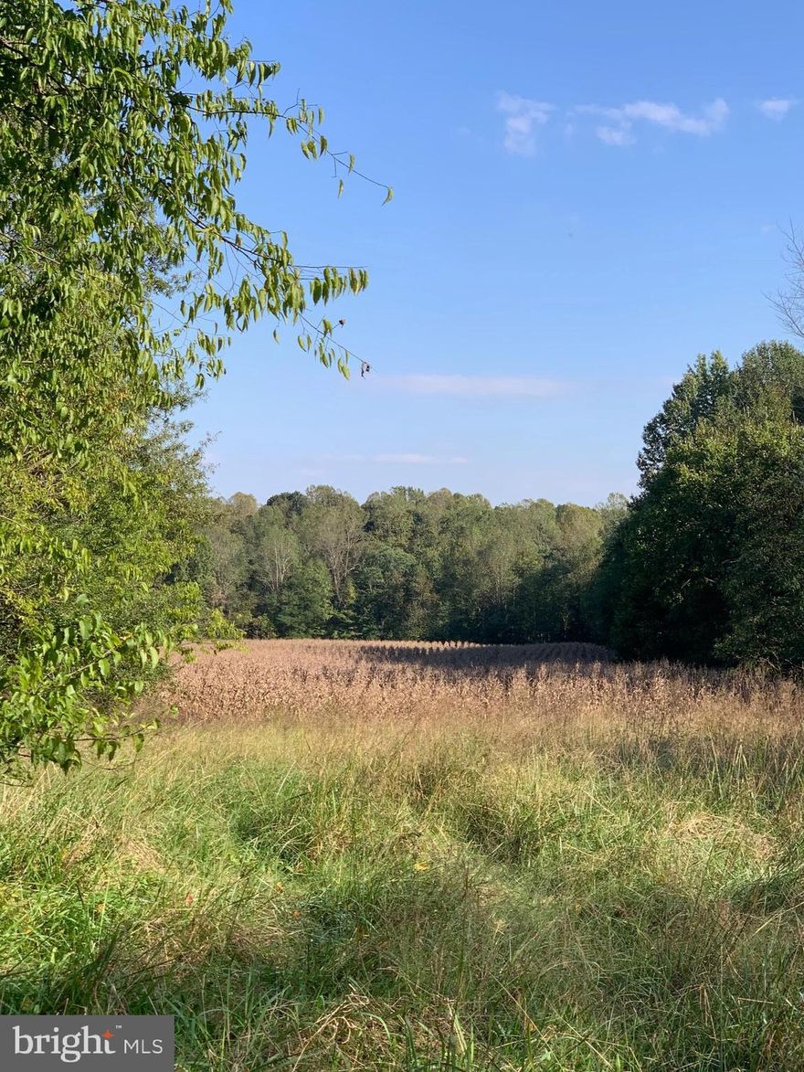 20.01 Acres with Access to Rock Creek at Rear that Feeds into the Lagoon of Lake Anna on Rt. 652.  Approximately 11 acres of pasture.  Currently in Land Use and Farmed.  Farm Lease Renews in January.  578 feet of Road Frontage.  This Land Connects with 43.33 Acres Also Listed for Sale.  Zoned Agricultural (A1).  No Rezoning from A1 to Commercial or Industrial.  CRR's to Run with Land (See Documents).   Division is Possible with County Approval.  Land is Gently Rolling with Trees Lining the Left Boundary and a Barbed Wire Fence Runs the Entire Length of the Property on the Left Side.  Lots of Wildlife.  Deer & Wild Turkeys Frequently Seen.  Big Star Filled Skies at Night and Peaceful Vistas.  Close to Louisa, Short Pump, Hanover, Richmond and Lake Anna.  Pleasants Marina is 11 Minutes Away.  Many Beautiful House Sites.  Firefly Internet Available.  Bring Your Livestock and Start Enjoying the Peace and Serenity of Country Living.