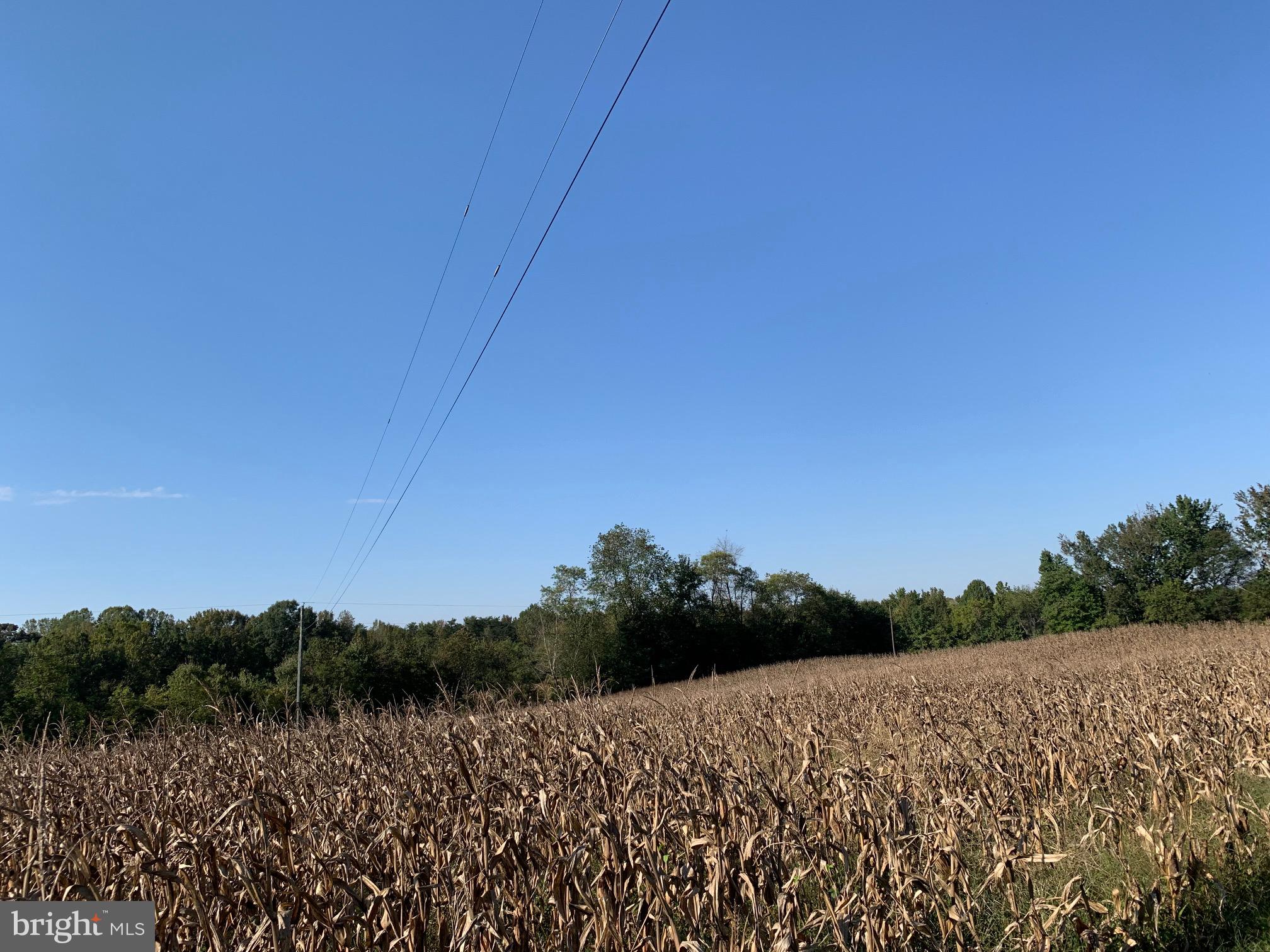 NONE AVAILABLE - Land