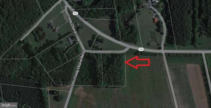 Bring your builder or your ideas to this quiet area of Wicomico county.  This could also be a great hunting camp location.