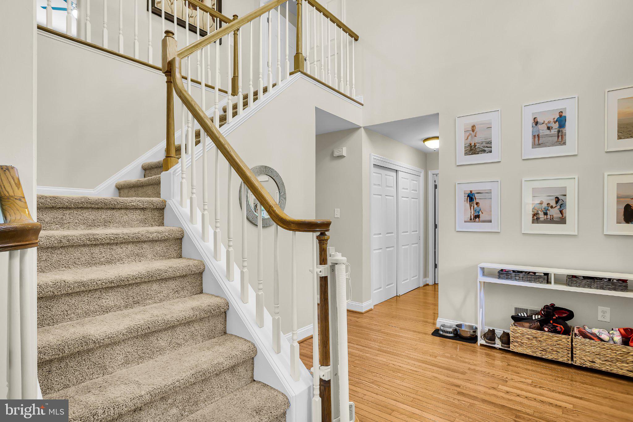 MAPLEFLOWER - Residential