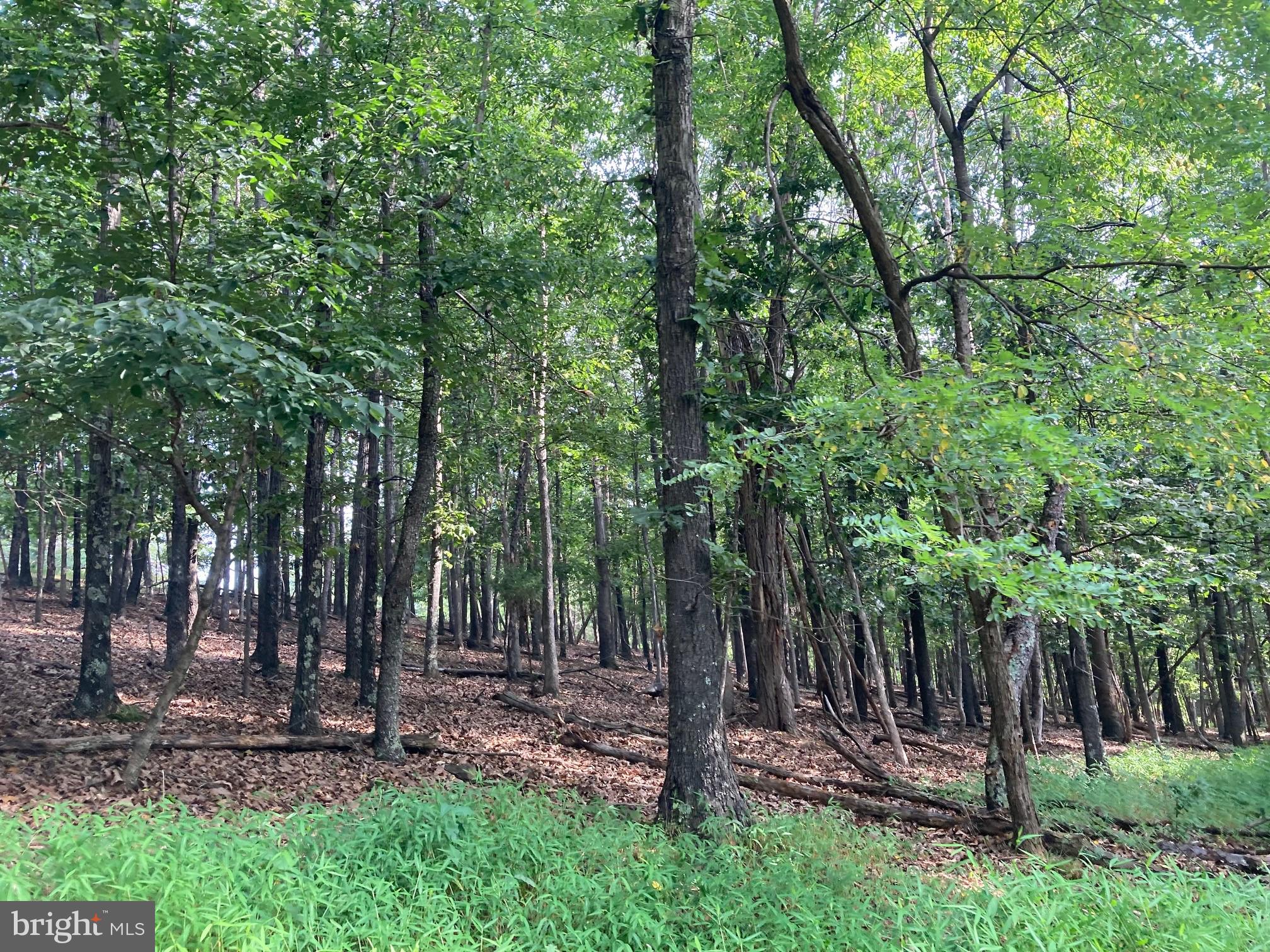 NONE AVAILABLE - Land