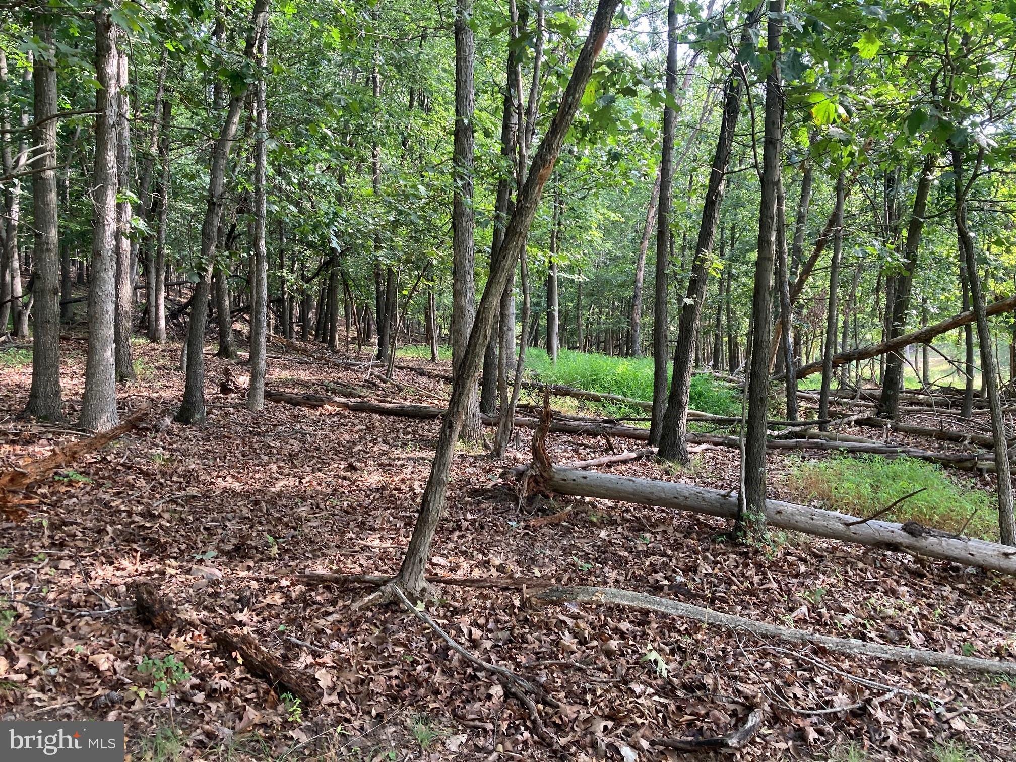 NONE AVAILABLE - Land