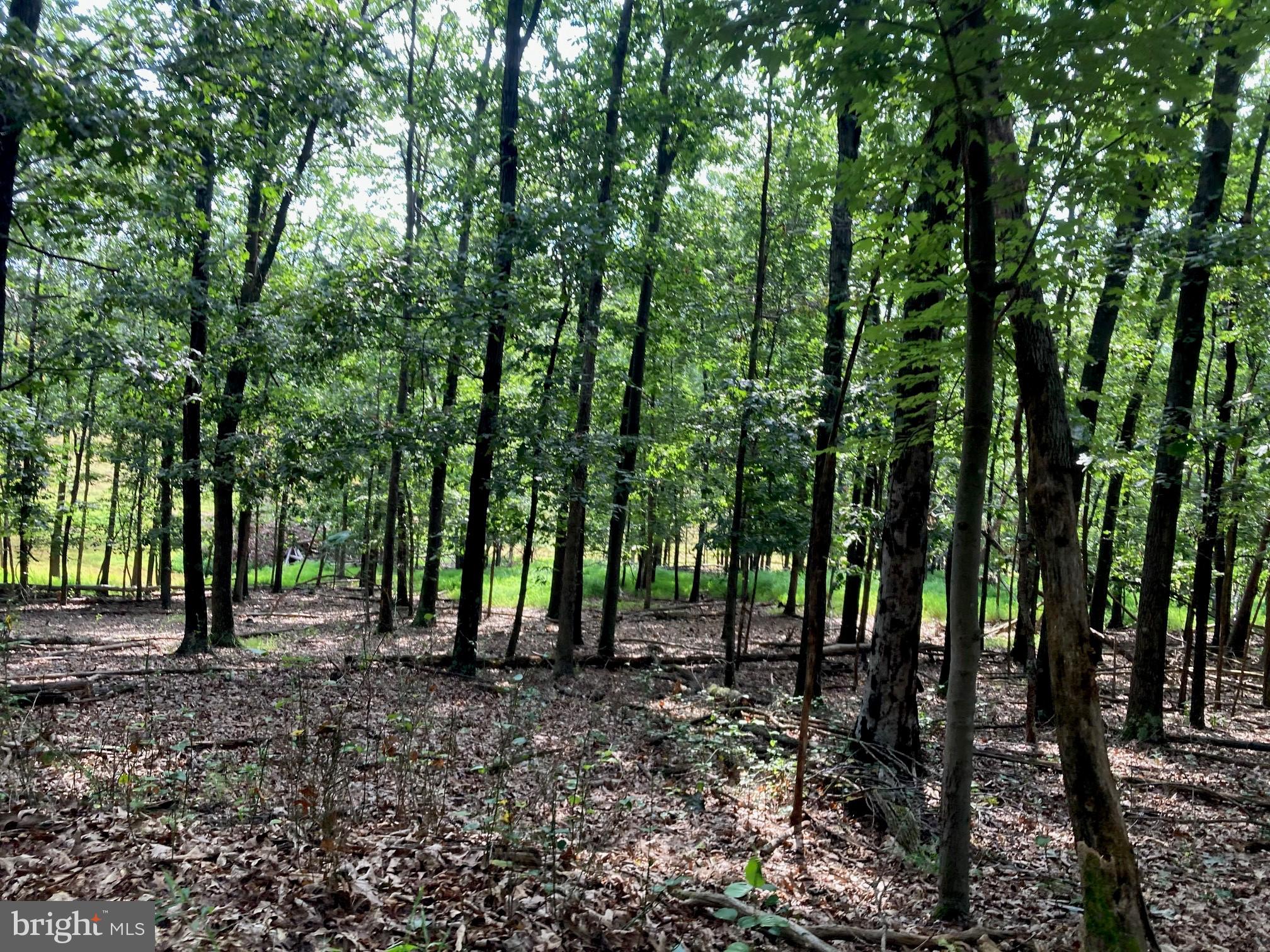 NONE AVAILABLE - Land