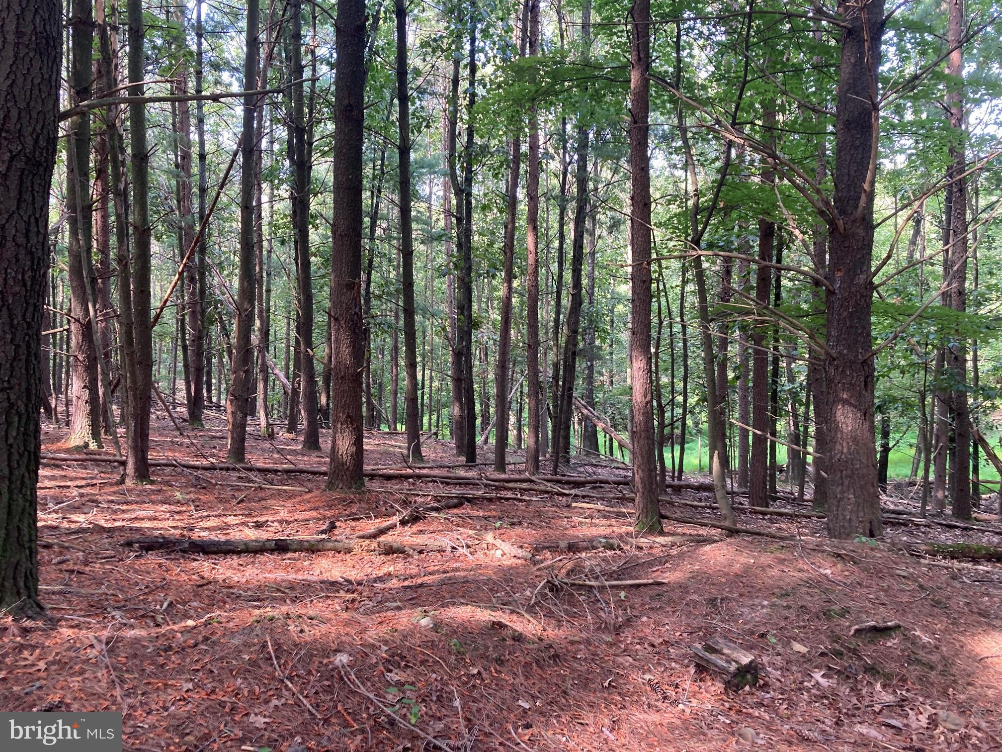 NONE AVAILABLE - Land