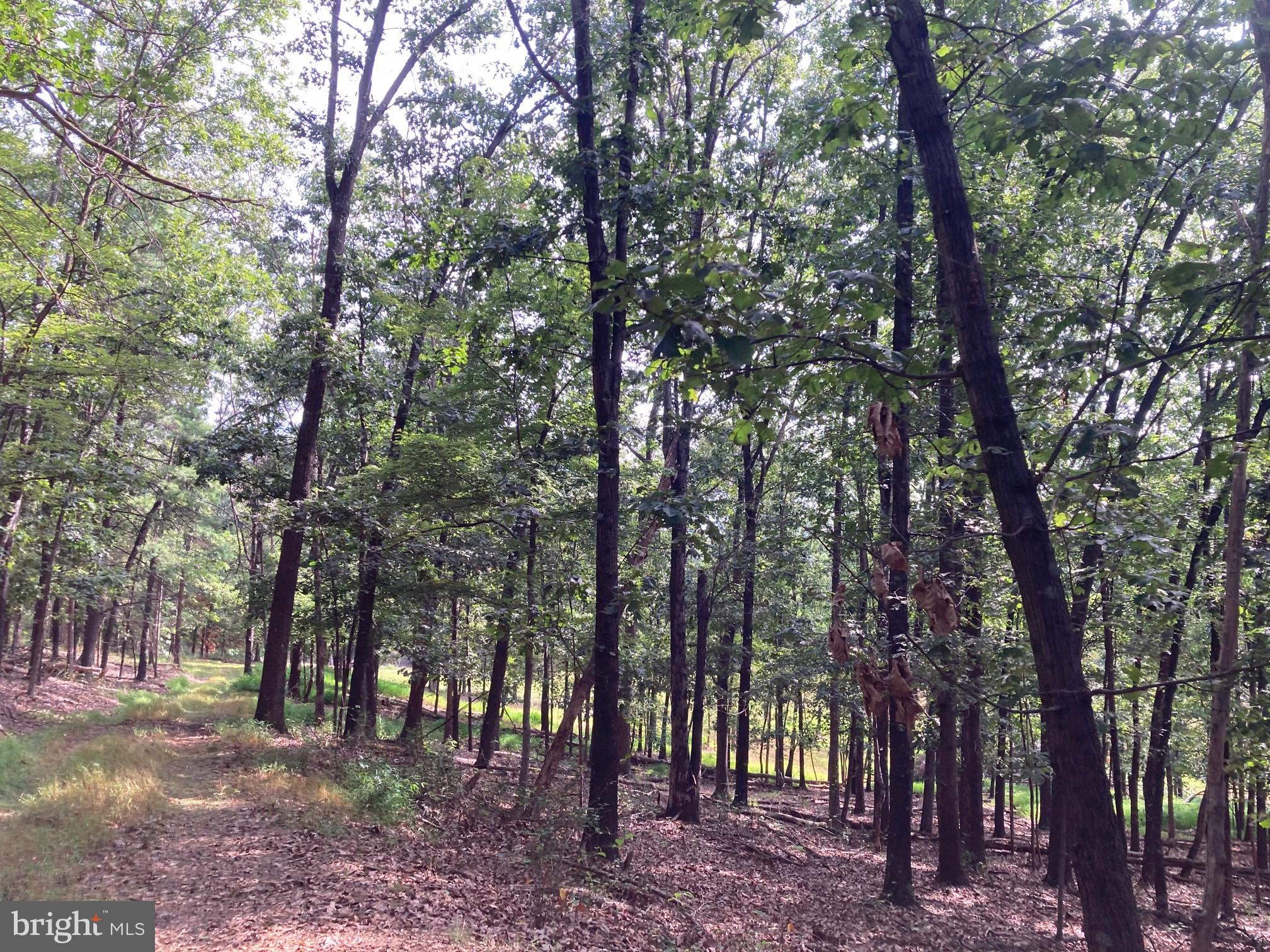 NONE AVAILABLE - Land