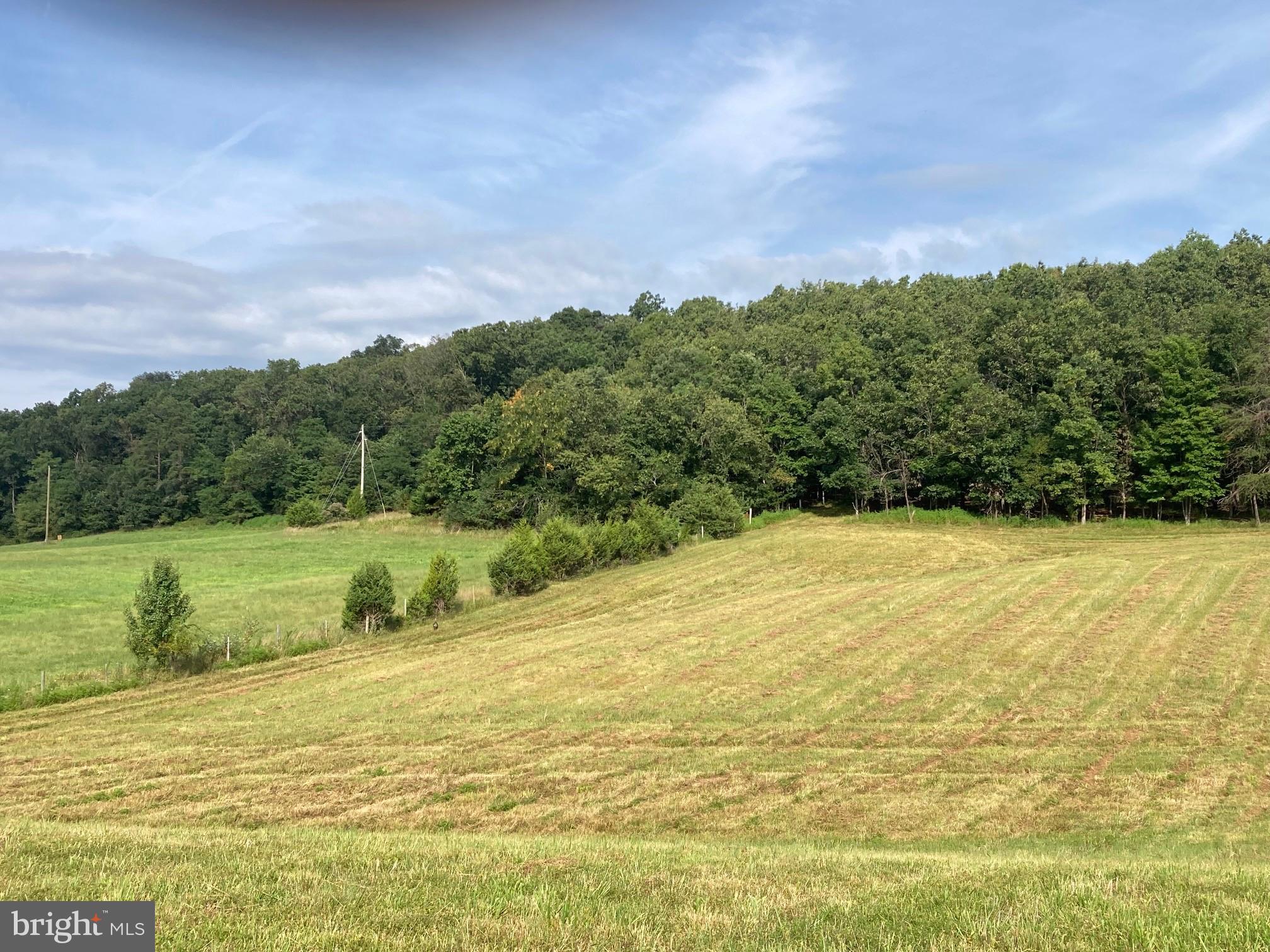 NONE AVAILABLE - Land