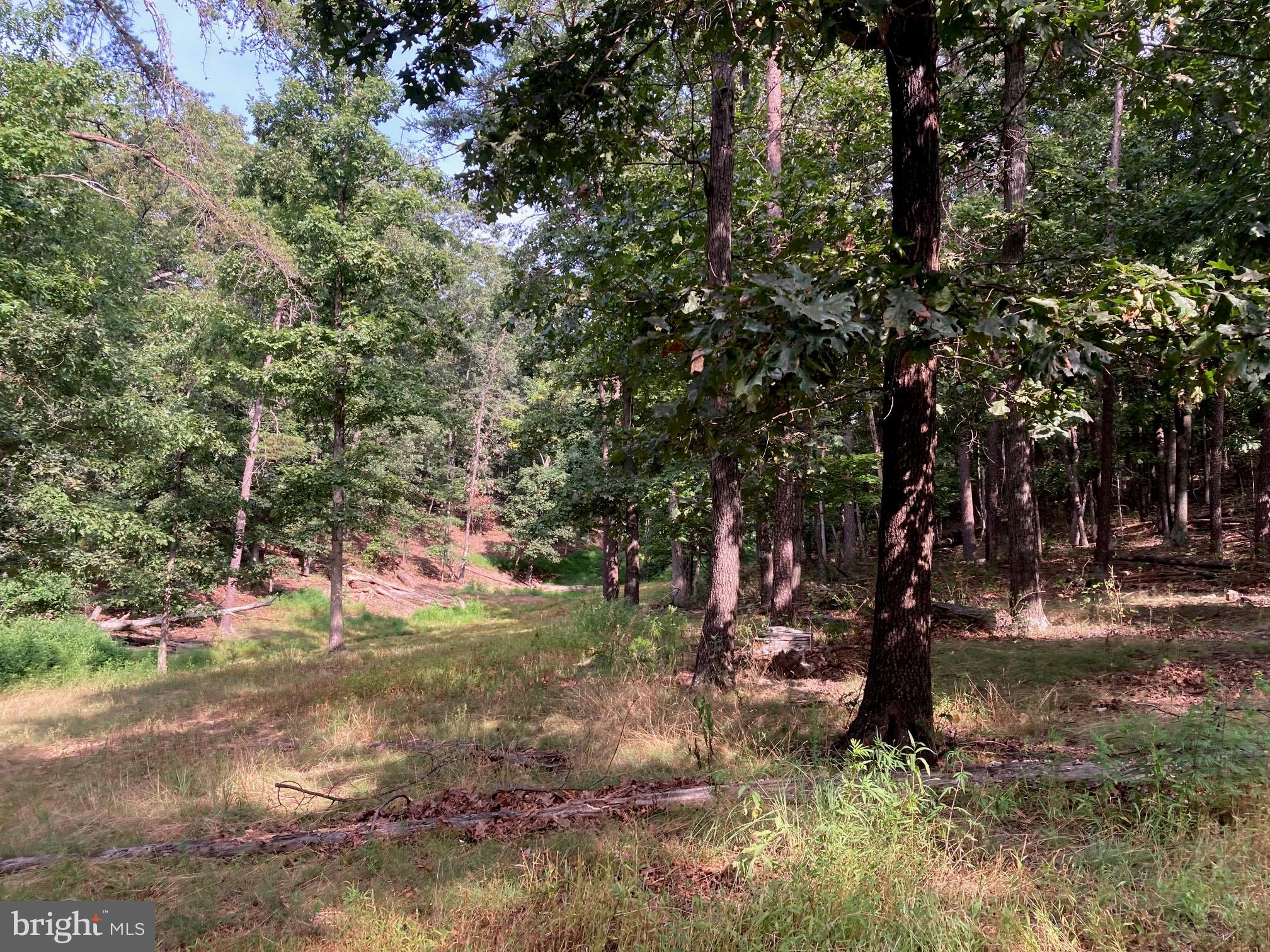 NONE AVAILABLE - Land