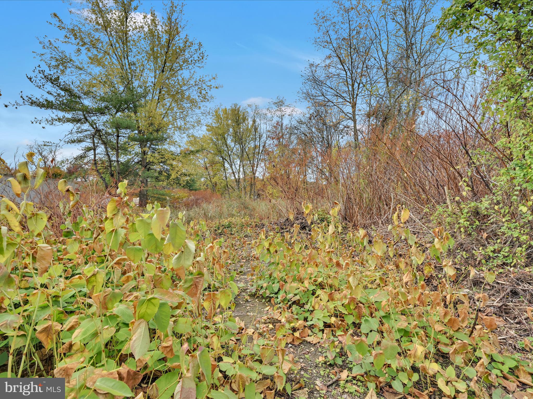 MILLCREEK - Residential