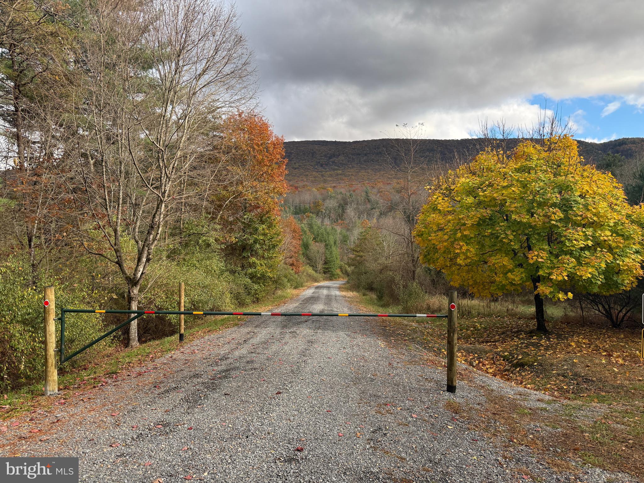 TROUT RUN FOREST - Land