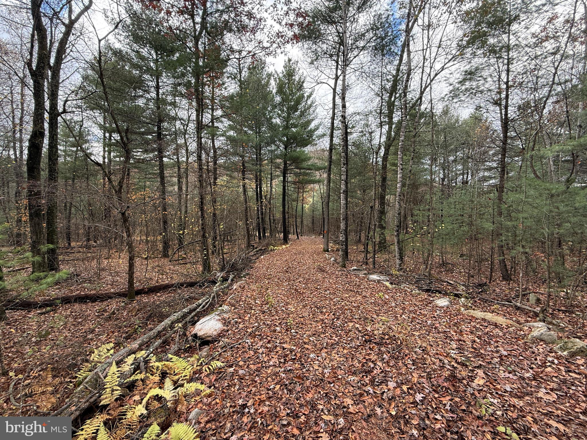 Lot#25 BROOKE TROUT DRIVE