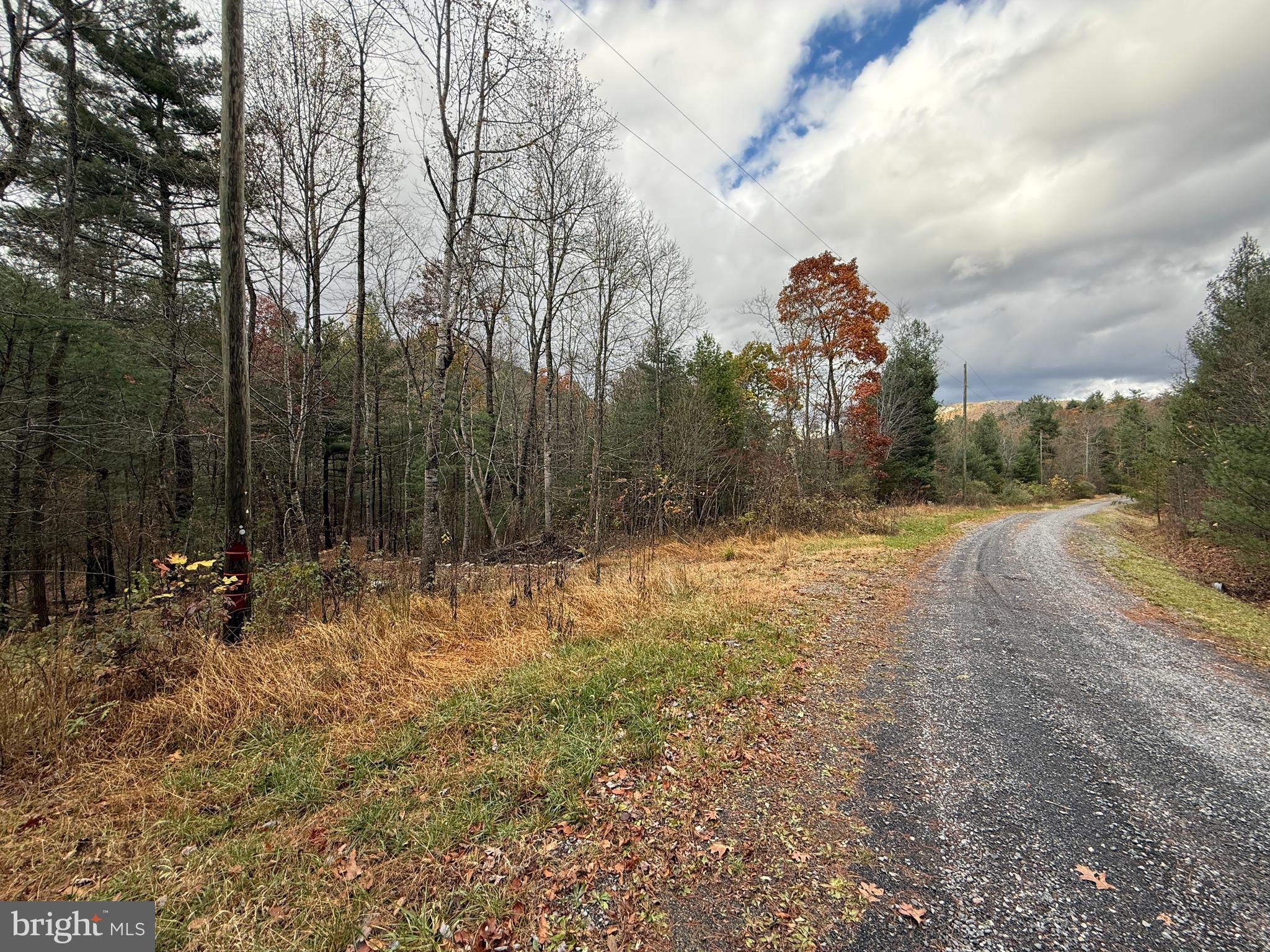 TROUT RUN FOREST - Land
