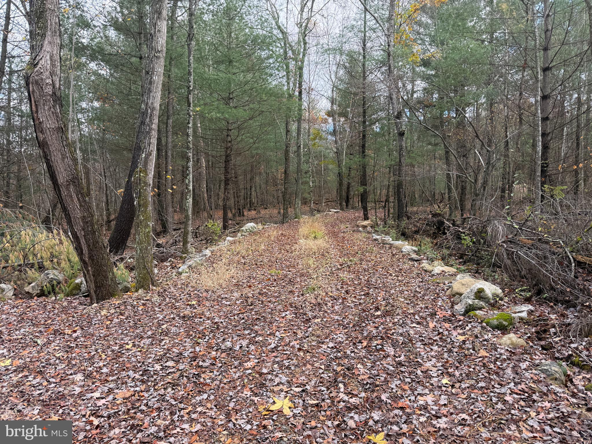 Lot#25 BROOKE TROUT DRIVE