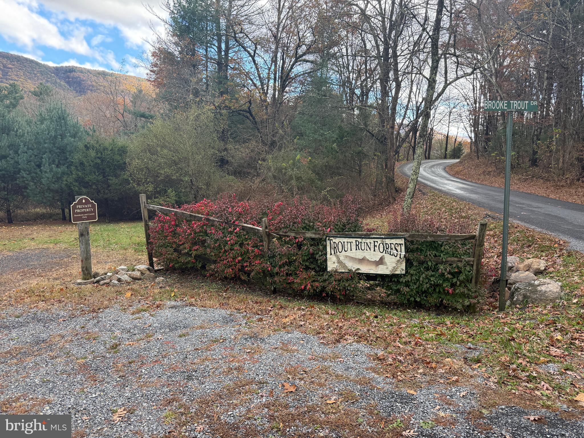 TROUT RUN FOREST - Land