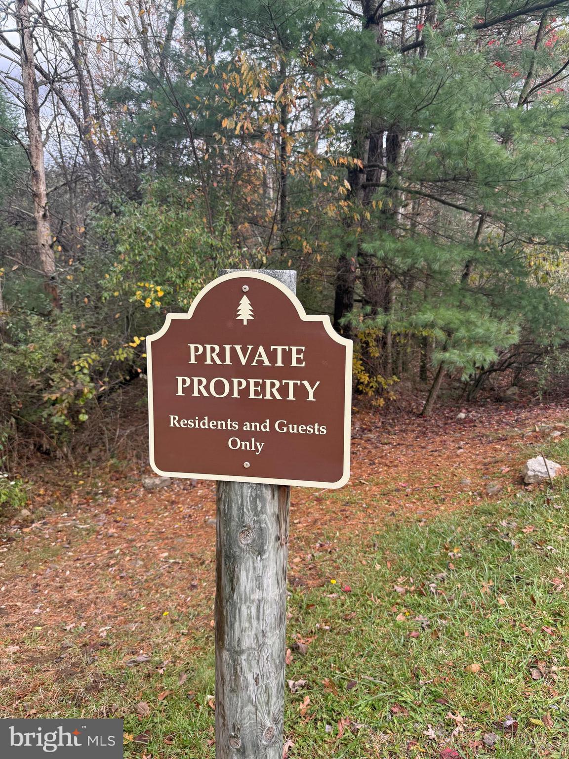 TROUT RUN FOREST - Land