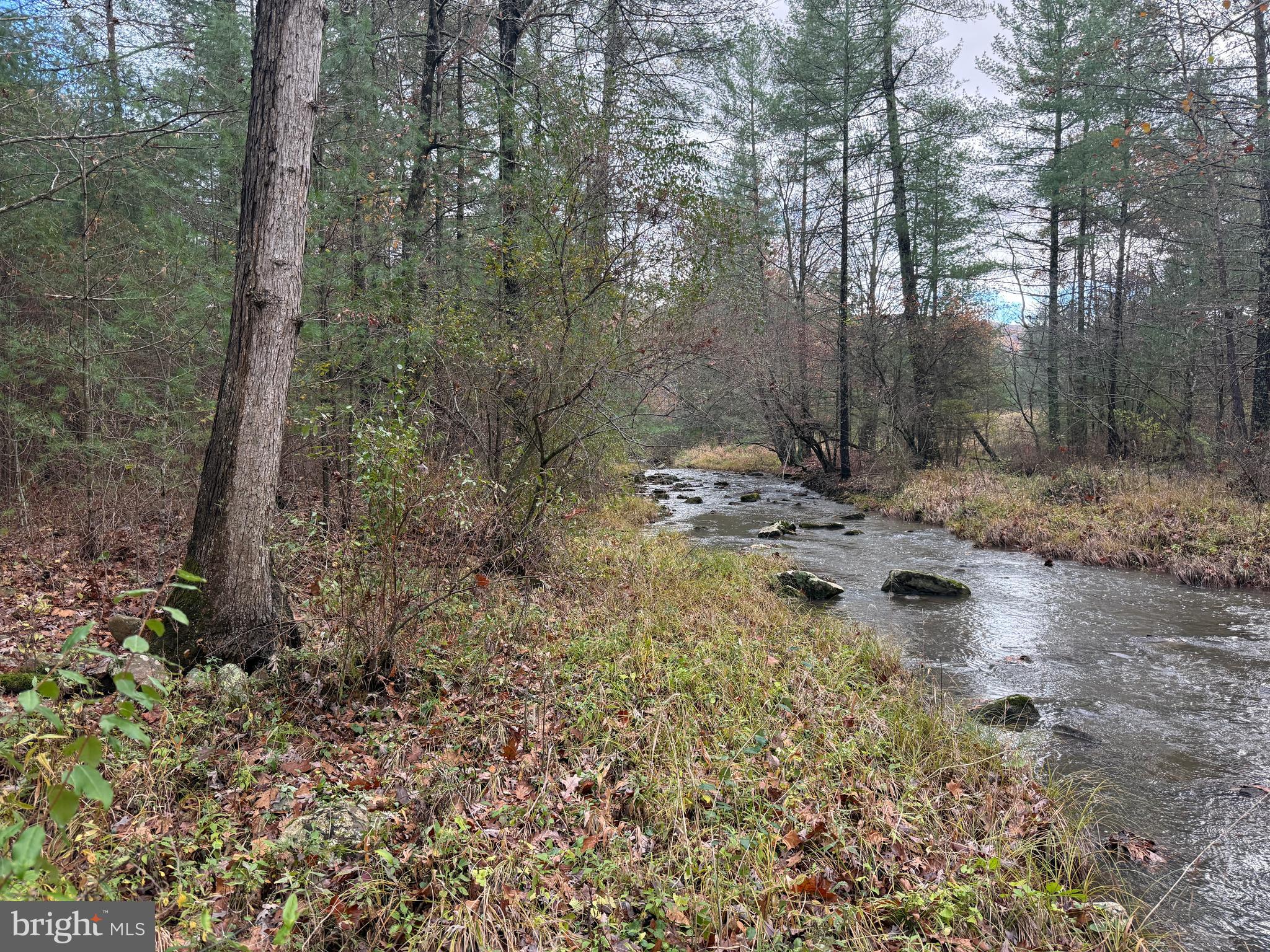 TROUT RUN FOREST - Land