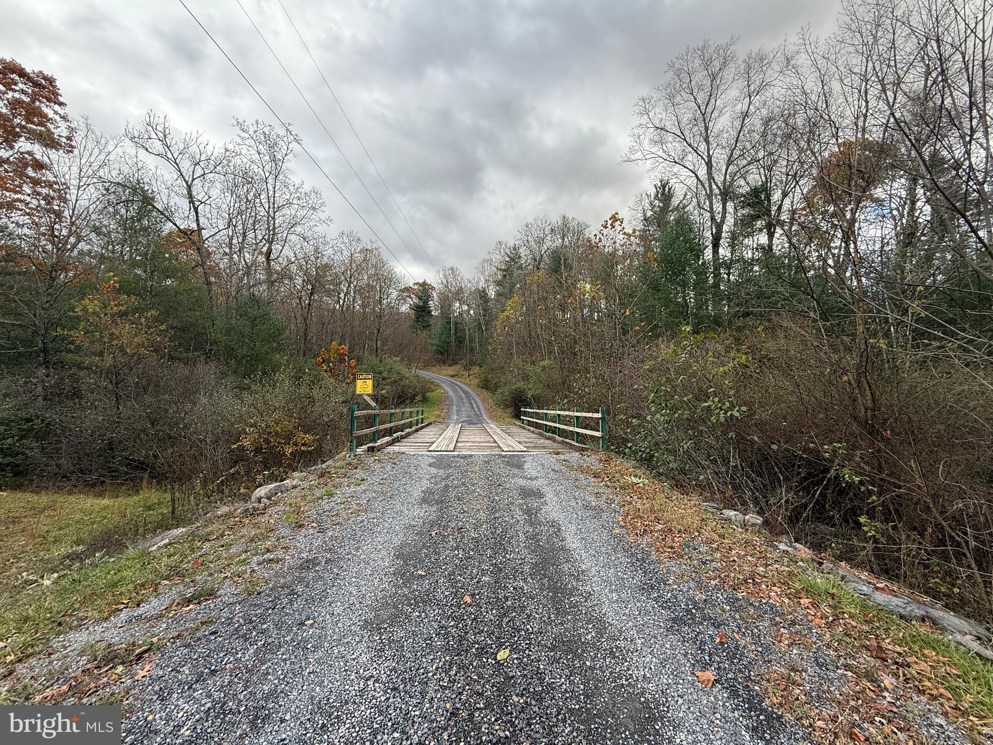 TROUT RUN FOREST - Land