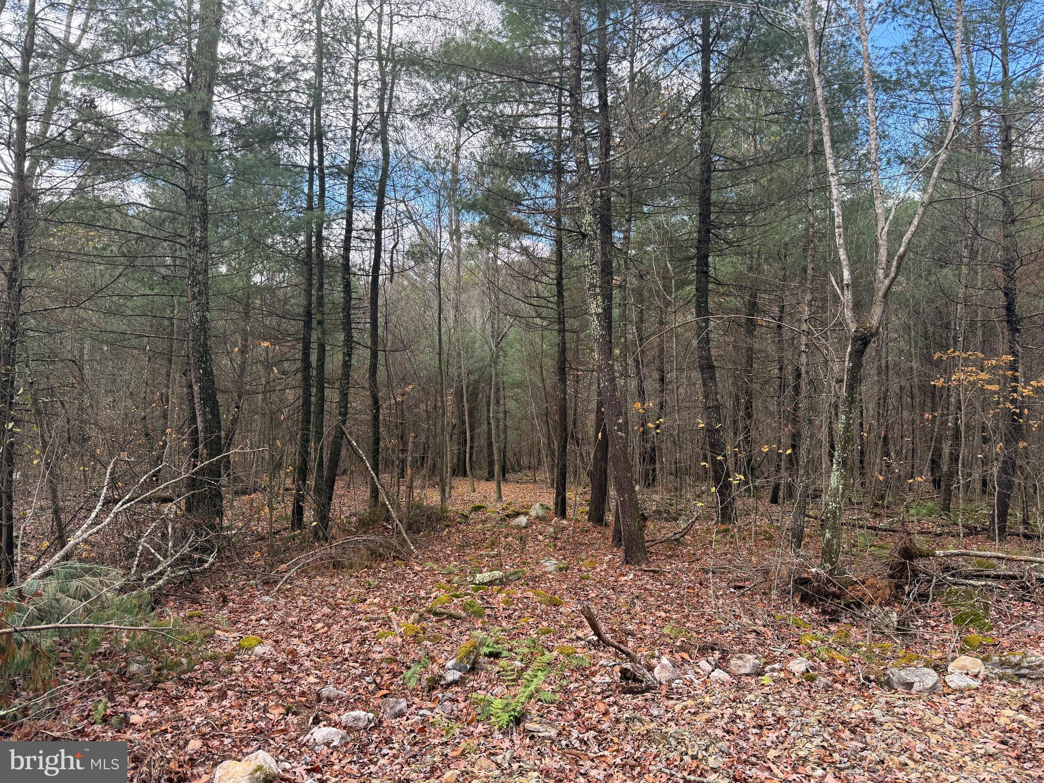 Lot#25 BROOKE TROUT DRIVE