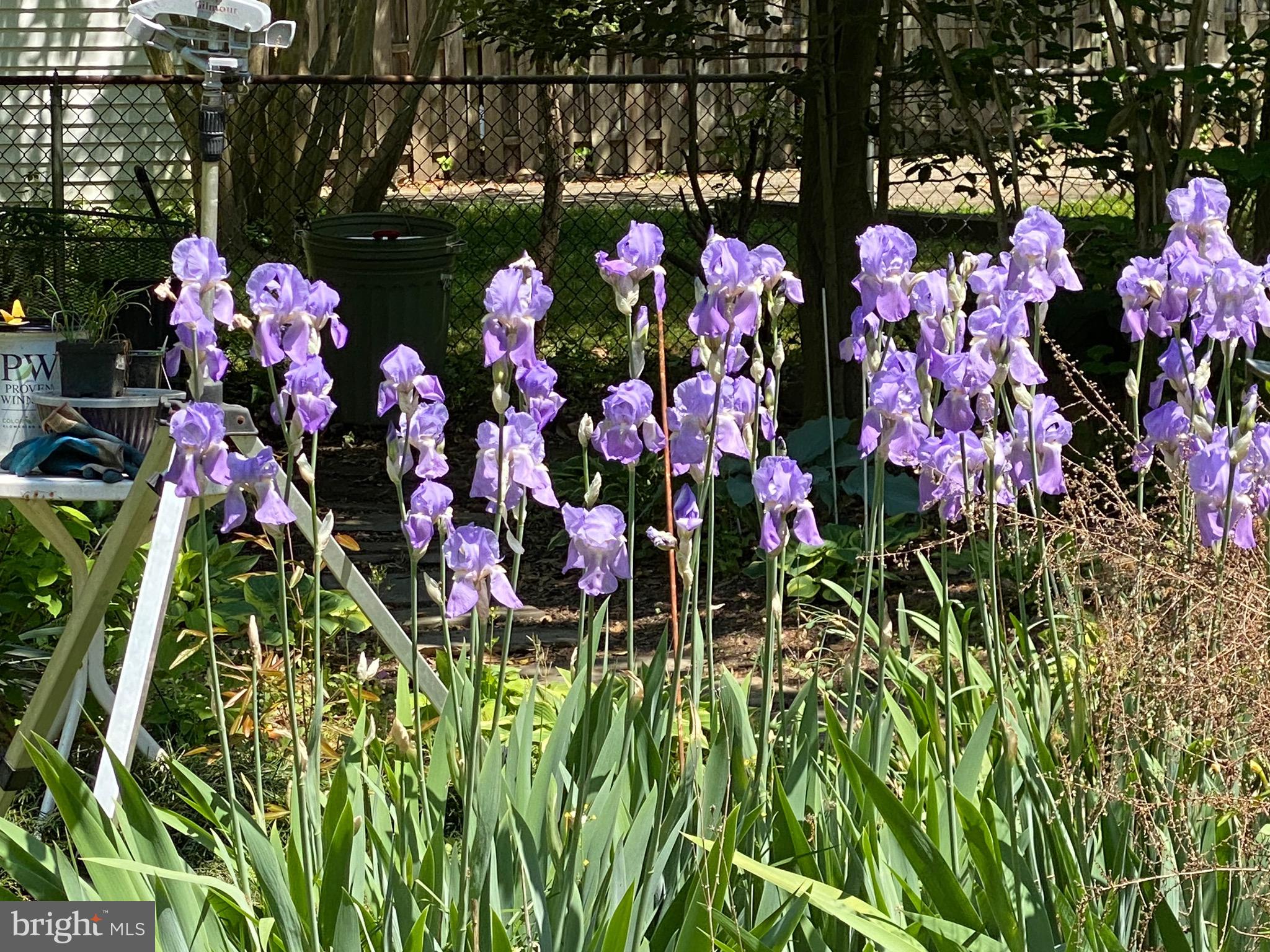 HYBLA VALLEY FARMS - Residential