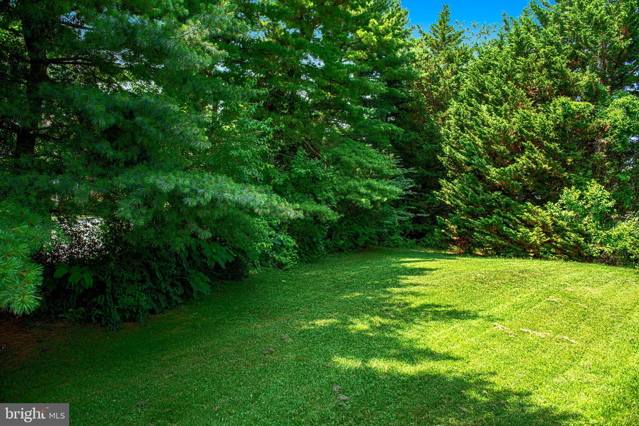 WOODBRIDGE CENTER - Residential