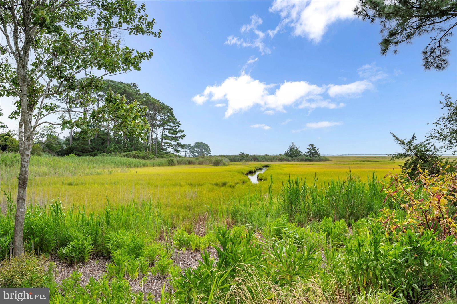 BAYSIDE - Residential