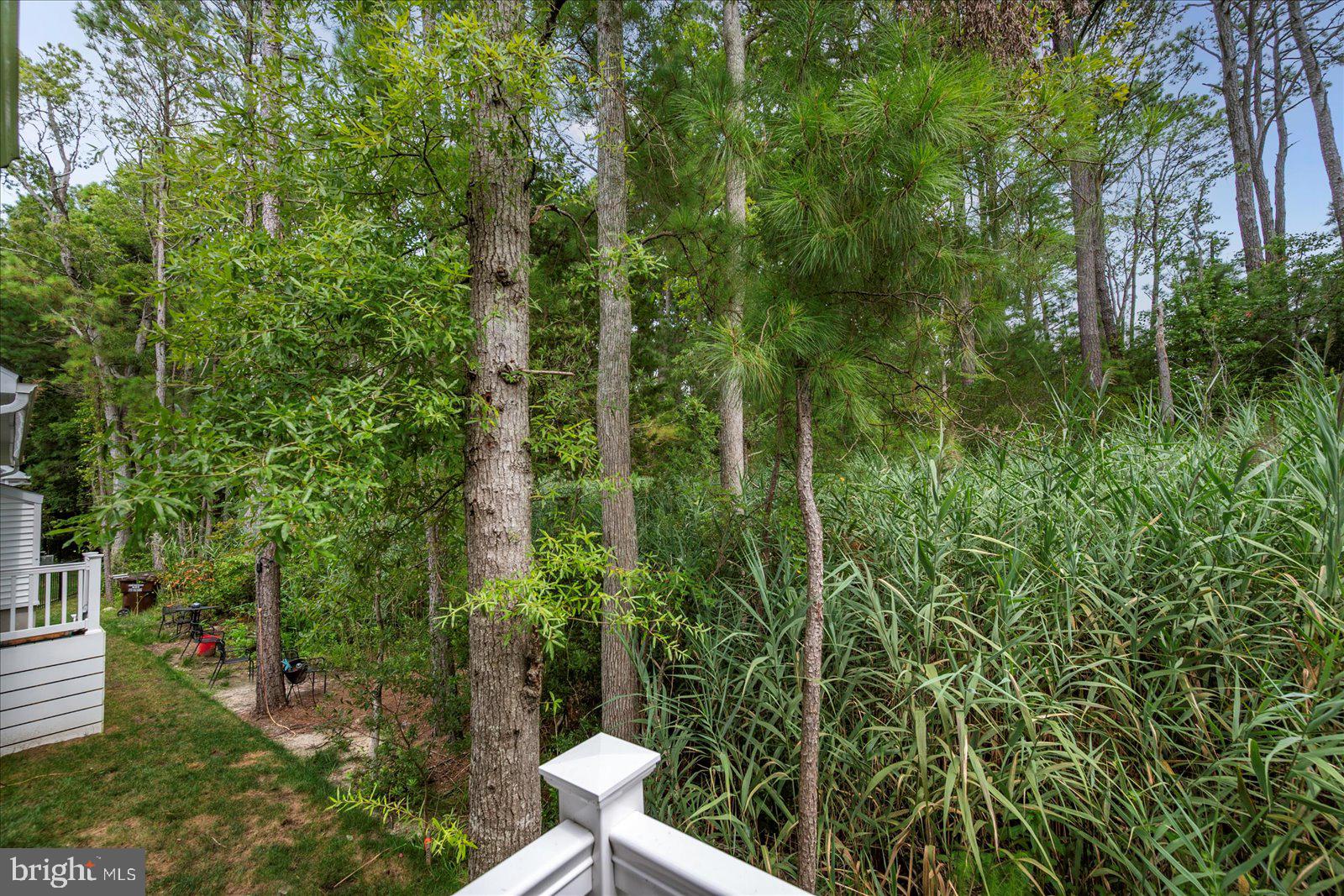 BAYSIDE - Residential