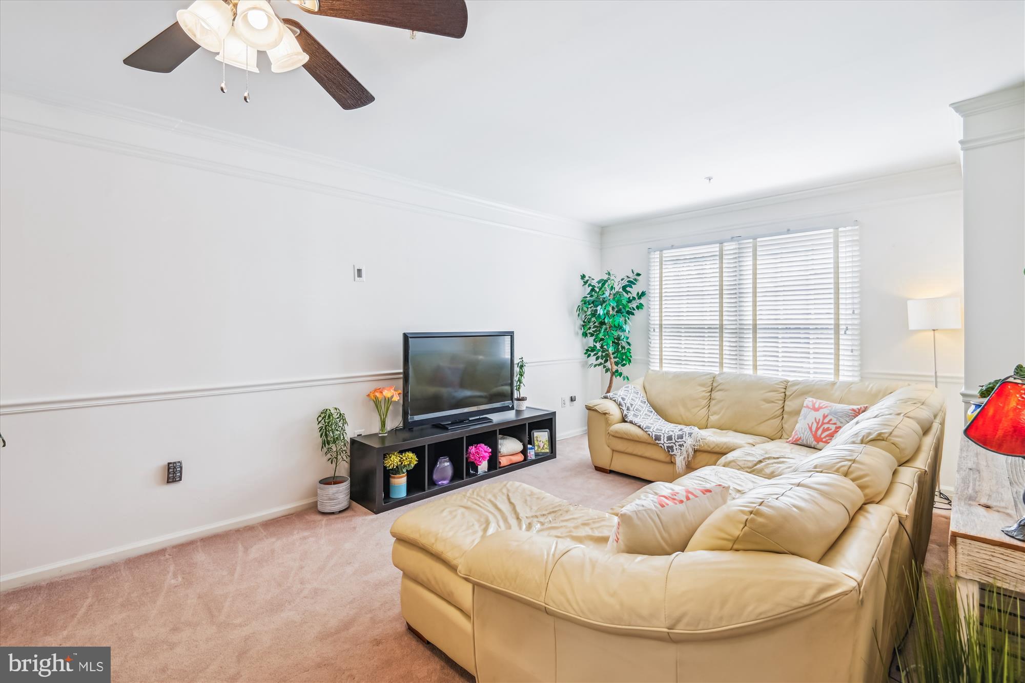 BOWLING BROOK FARMS - Residential