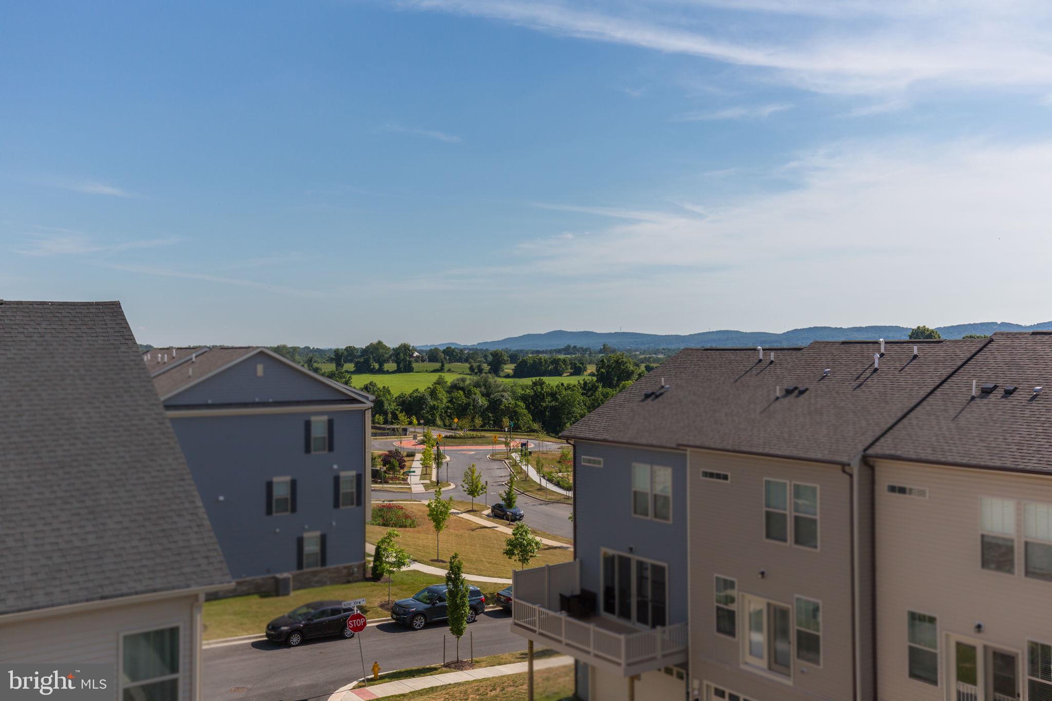 HARRINGTON TERRACE - Residential