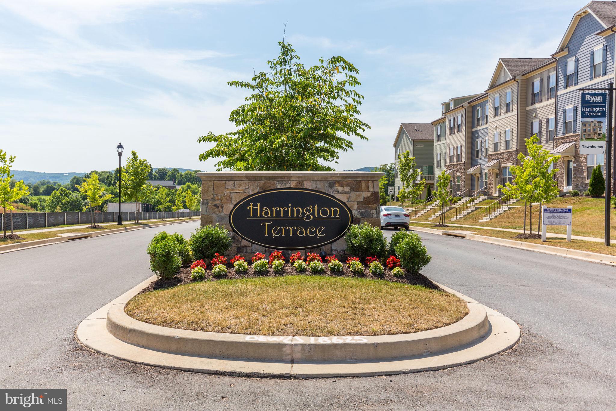 HARRINGTON TERRACE - Residential