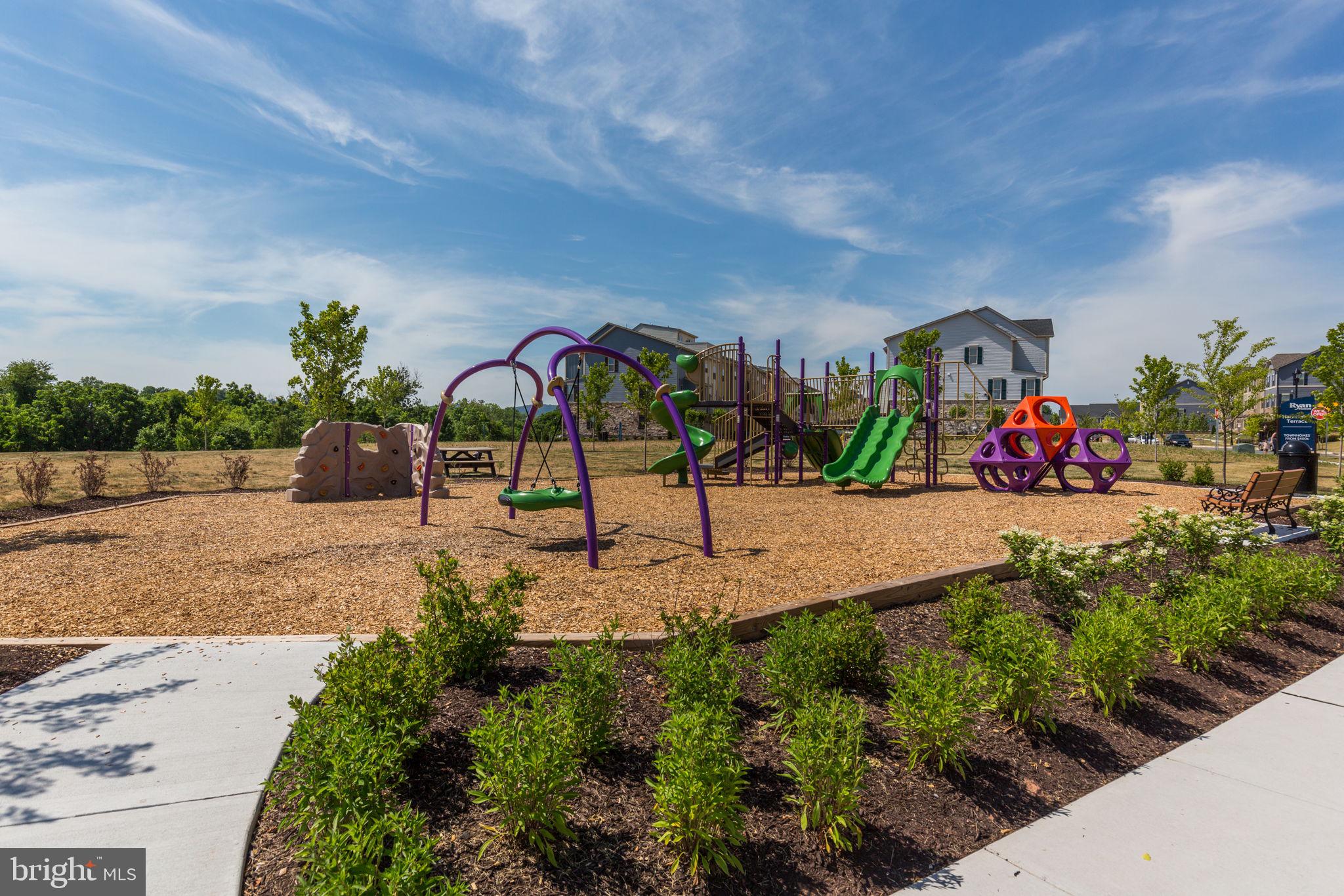 HARRINGTON TERRACE - Residential