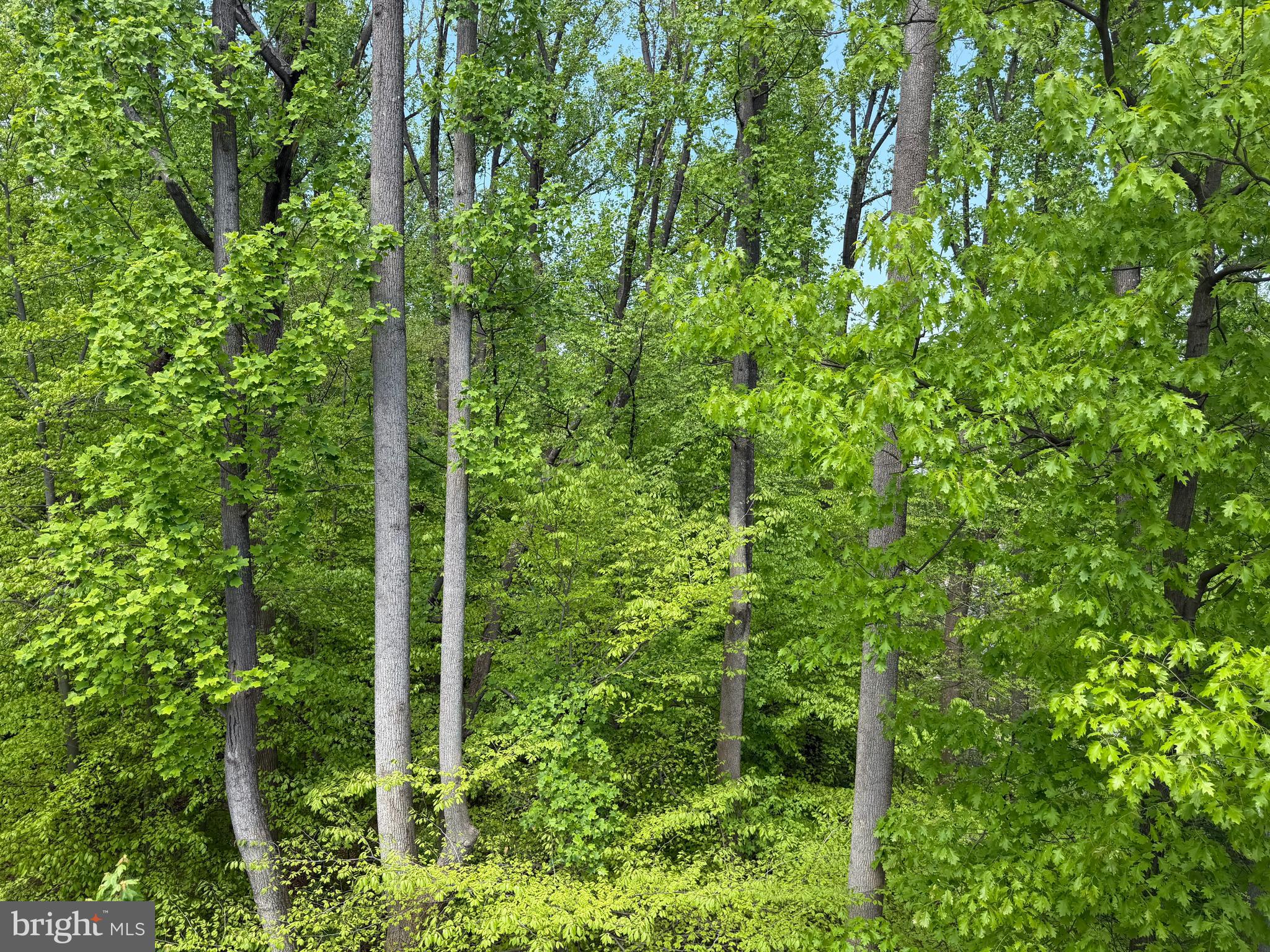 ROCKVILLE OUTSIDE - Residential