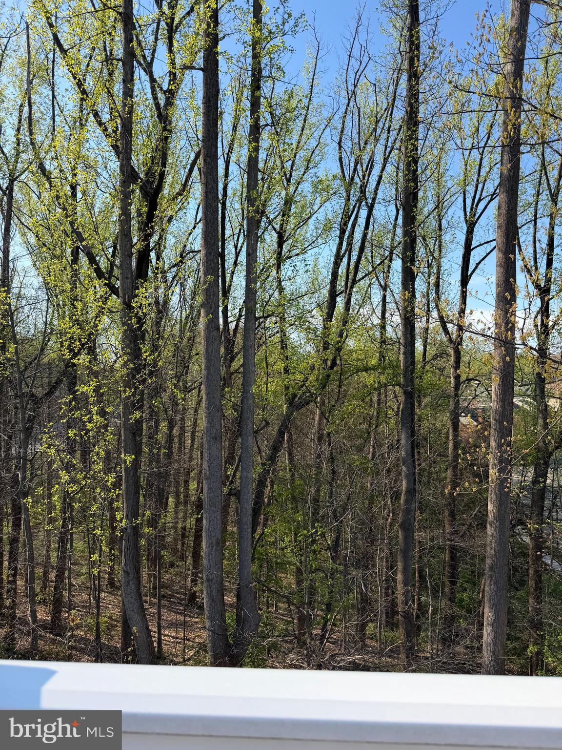 ROCKVILLE OUTSIDE - Residential