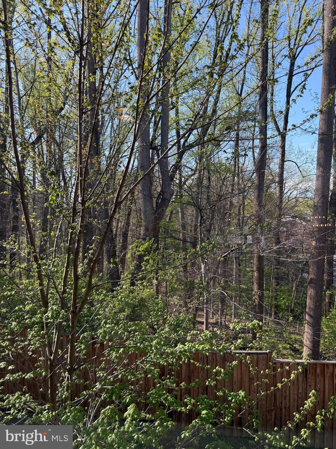 ROCKVILLE OUTSIDE - Residential