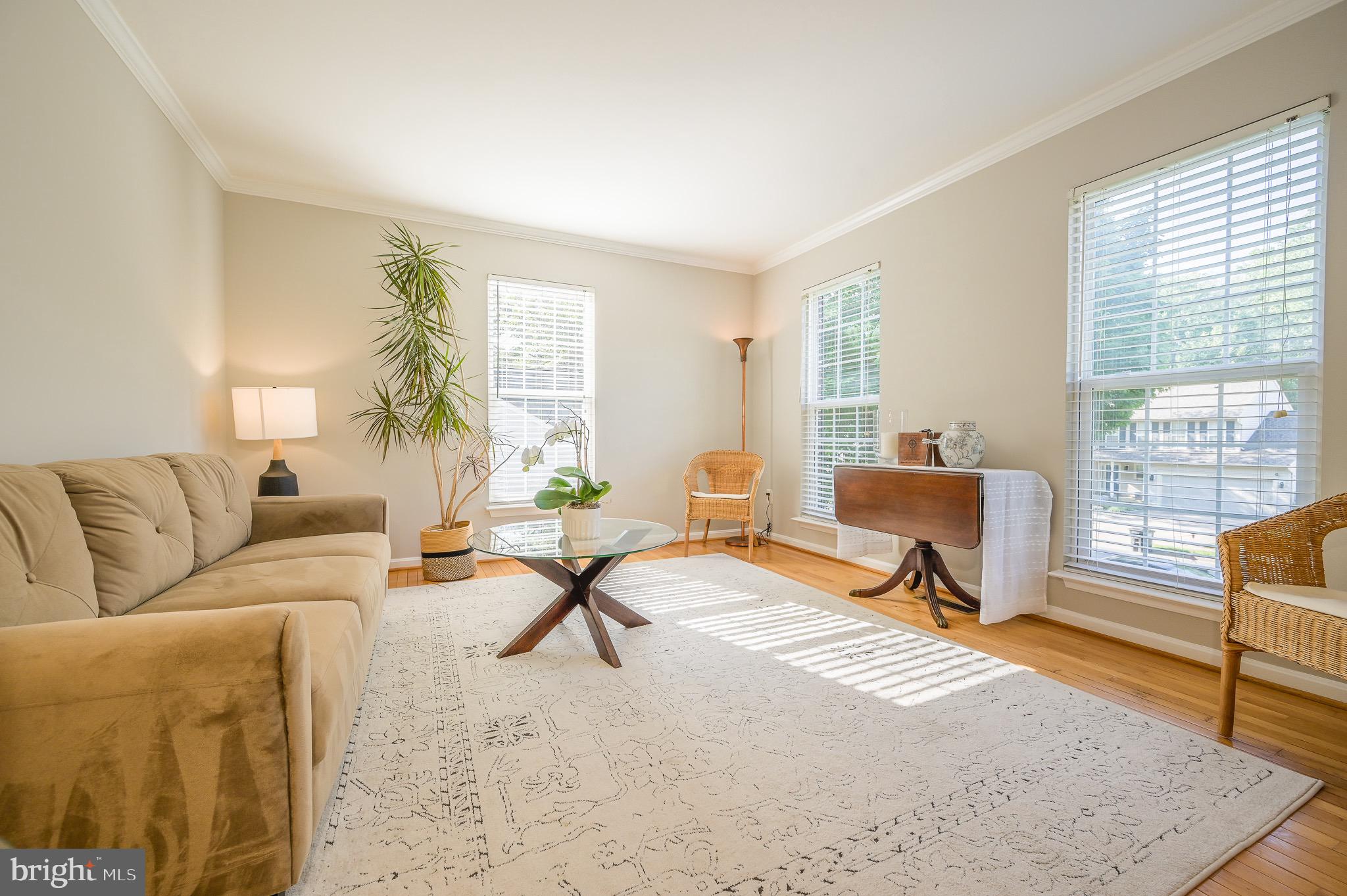 CARDINAL ESTATES - Residential