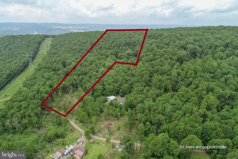 12.34 Acres BEARFOOT ROAD ACCIDENT MD 21520