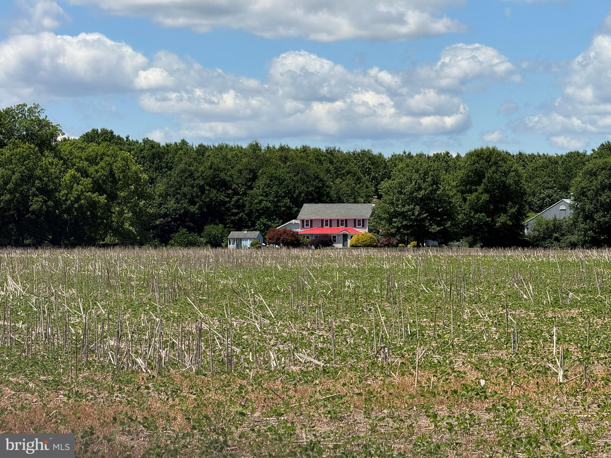 953 WHITE MARSH BRANCH ROAD
